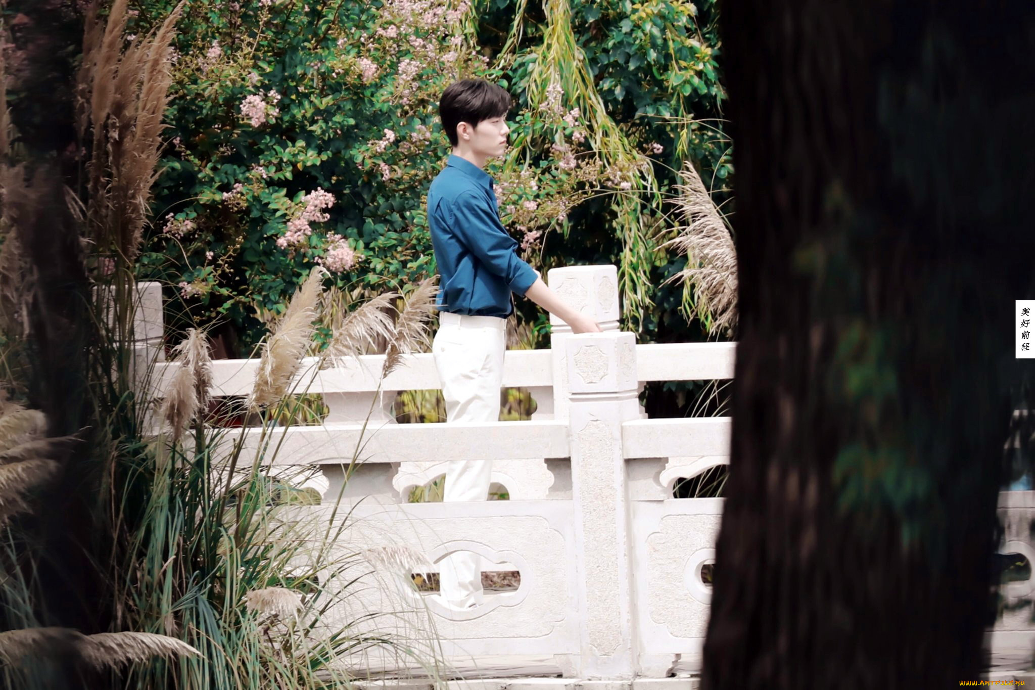 кино, фильмы, the, oath, of, love, доктор, жест, сад, мост