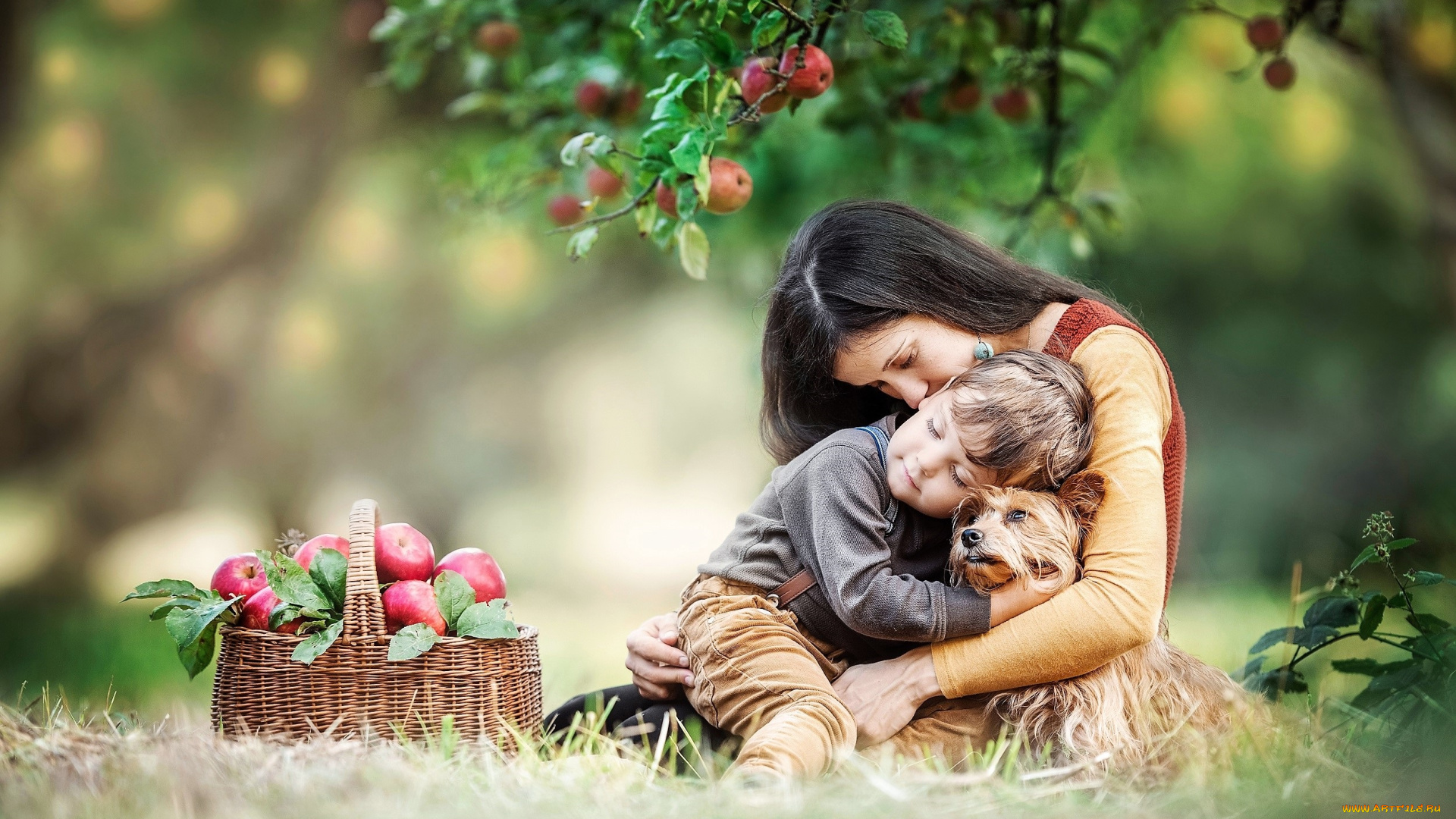 разное, люди, женщина, ребенок, собака, яблоки, корзина