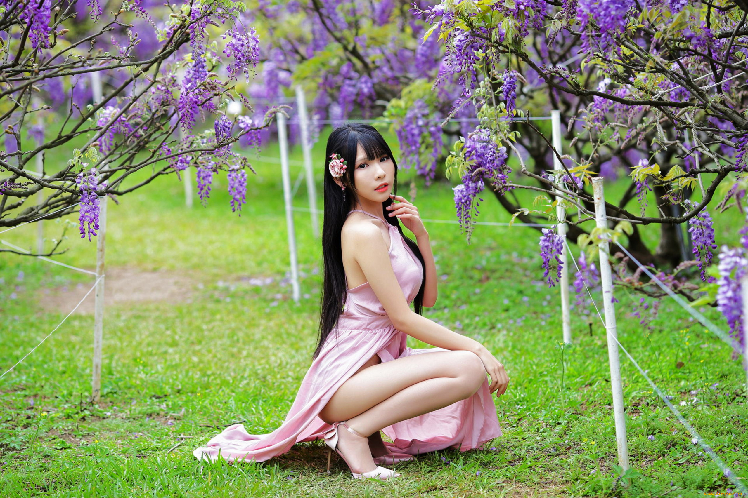 девушки, -, азиатки, азиатка, поза, платье, глициния