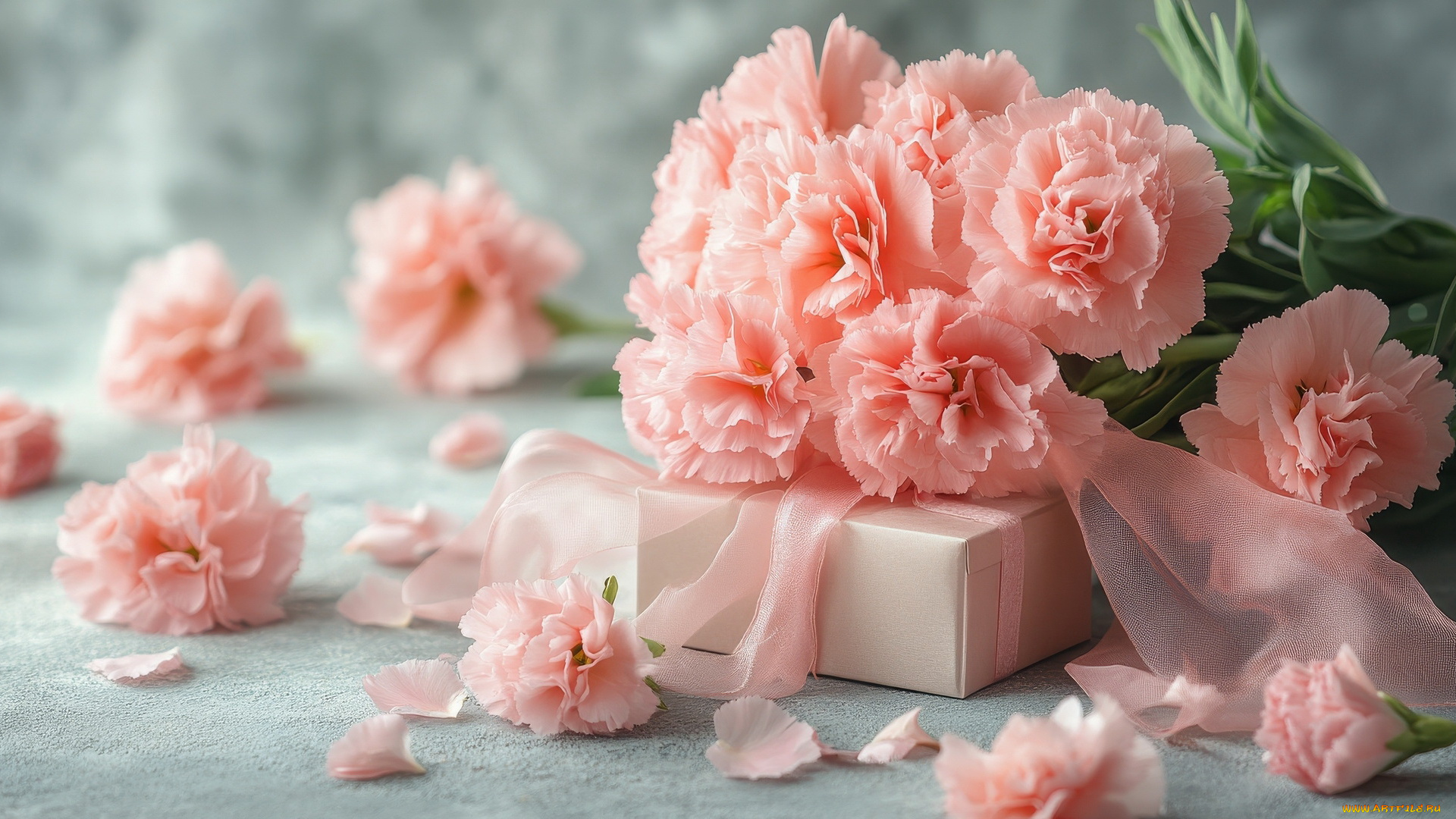 3д, графика, праздники, , holidays, лепестки, розовая, гвоздика, подарок