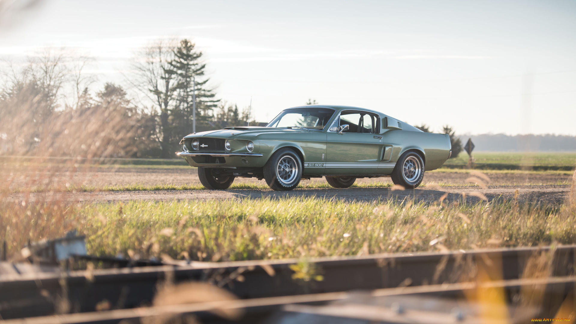 автомобили, mustang, shelby, gt500, 1967