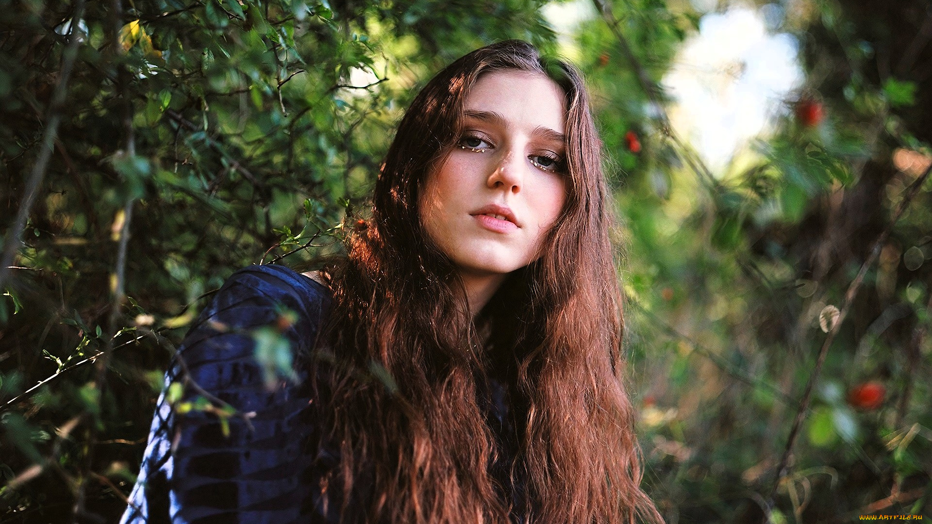 birdy, девушки, -, лица, , портреты, шатенка, лицо, лес