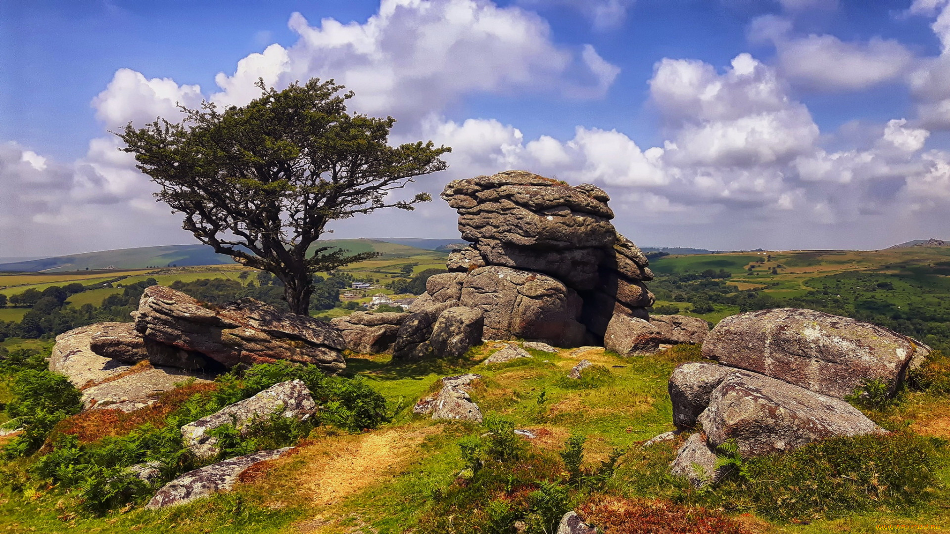 dartmoor, england, природа, пейзажи