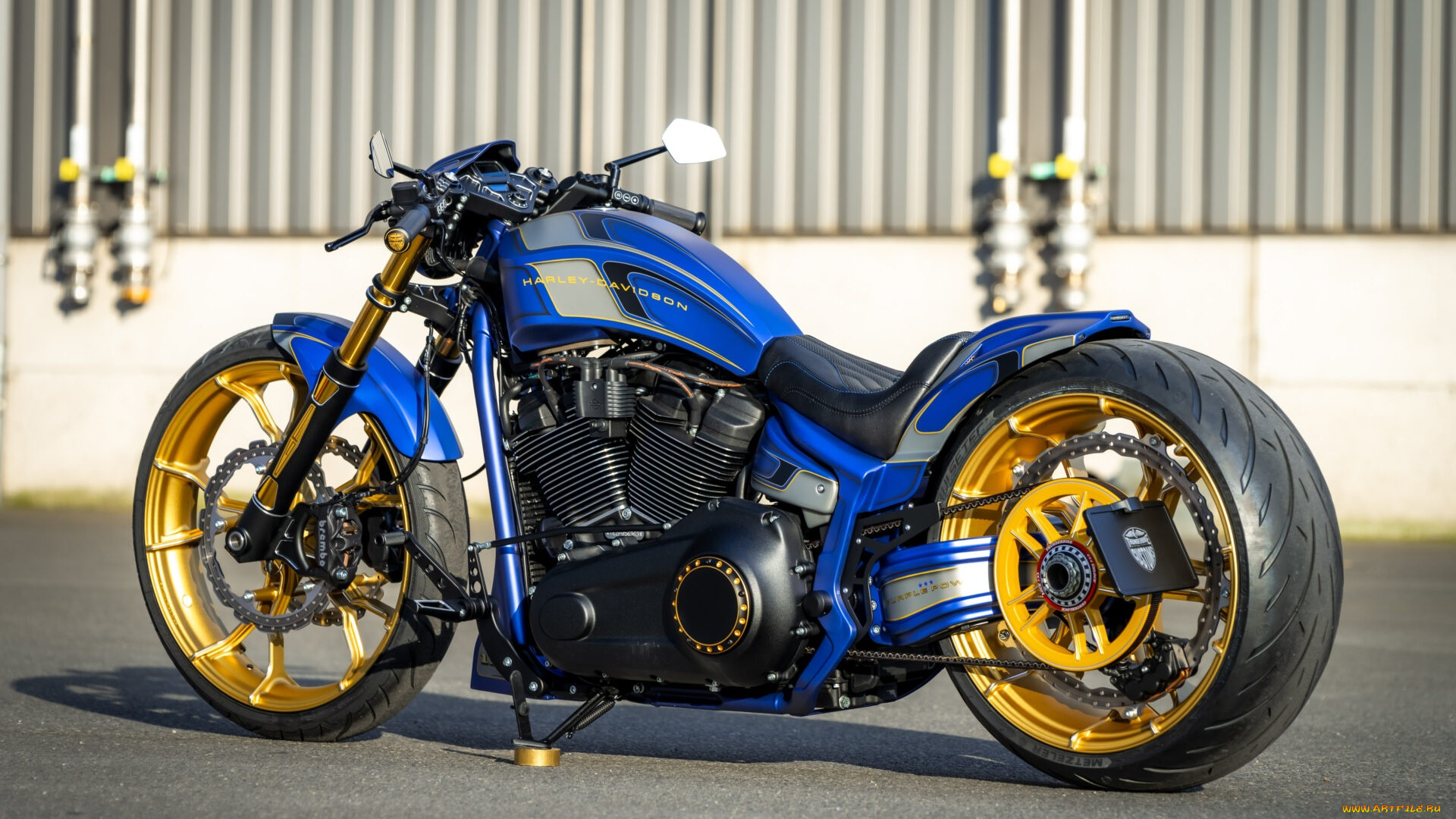 харлей, мотоциклы, harley-davidson, мотоцикл, байк, thunderbike, customs