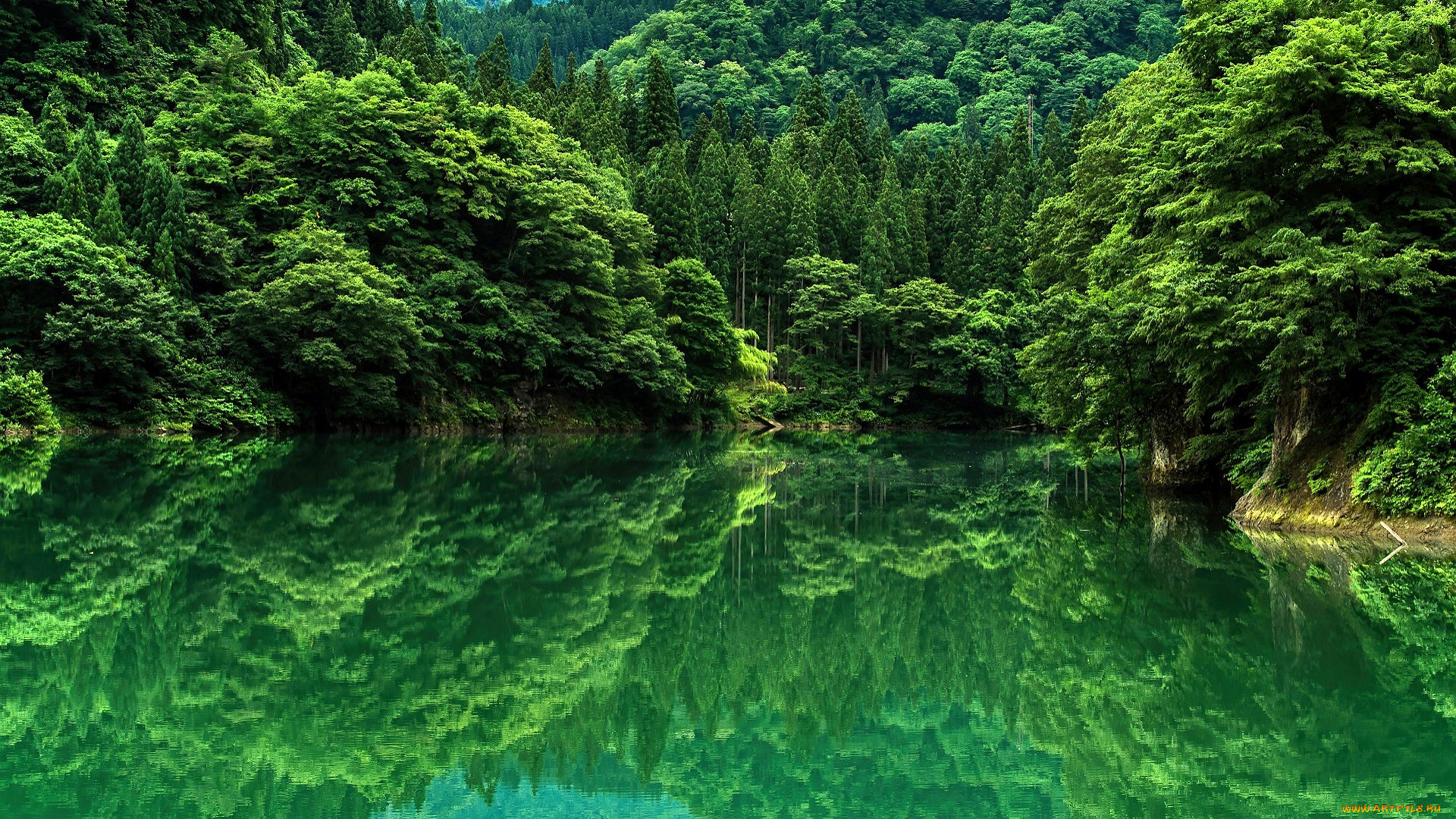 природа, реки, озера, лес, горы, озеро