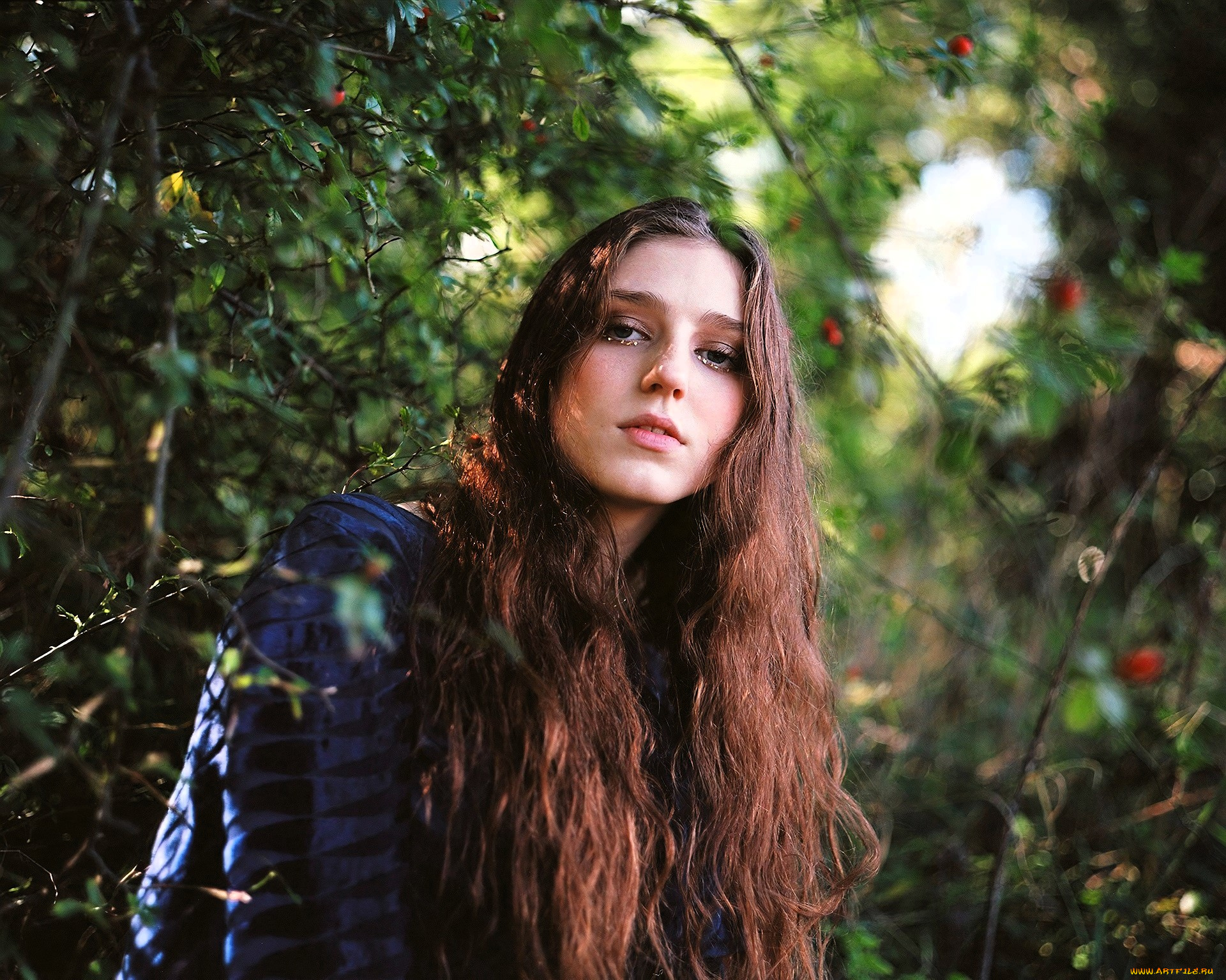 birdy, девушки, -, лица, , портреты, шатенка, лицо, лес