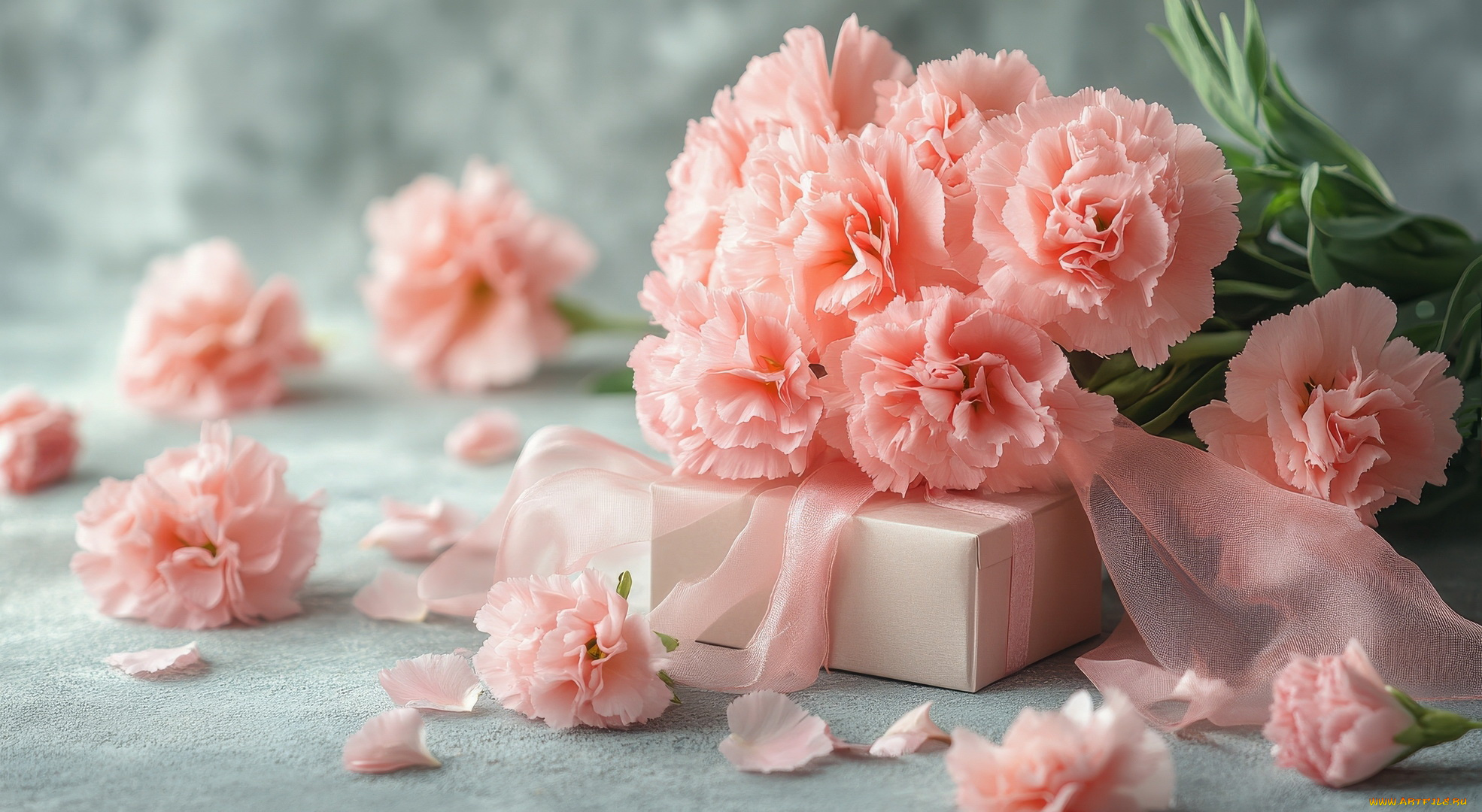 3д, графика, праздники, , holidays, лепестки, розовая, гвоздика, подарок