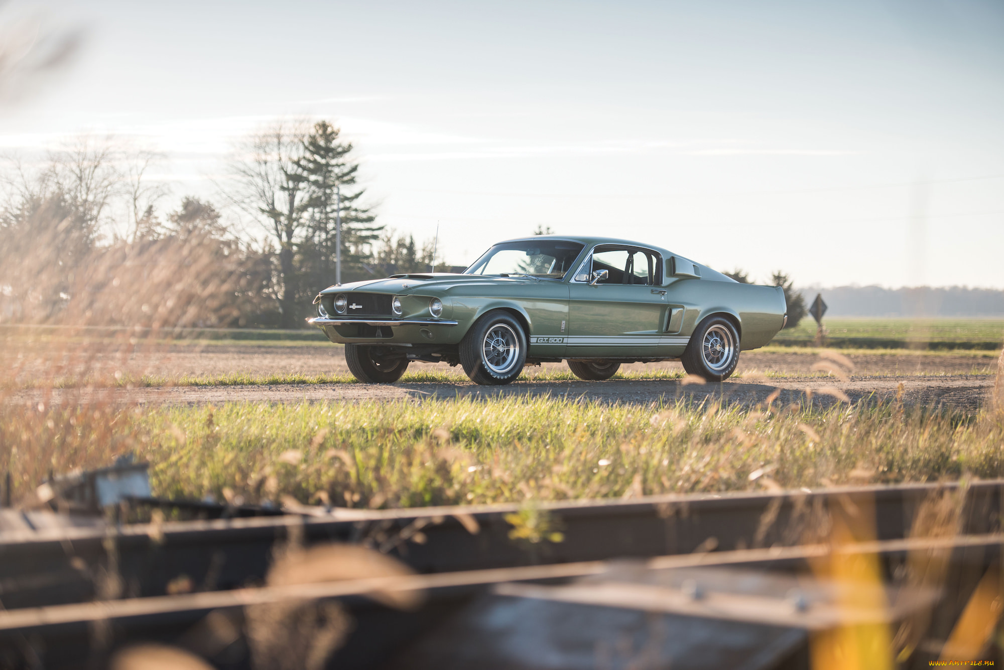 автомобили, mustang, shelby, gt500, 1967