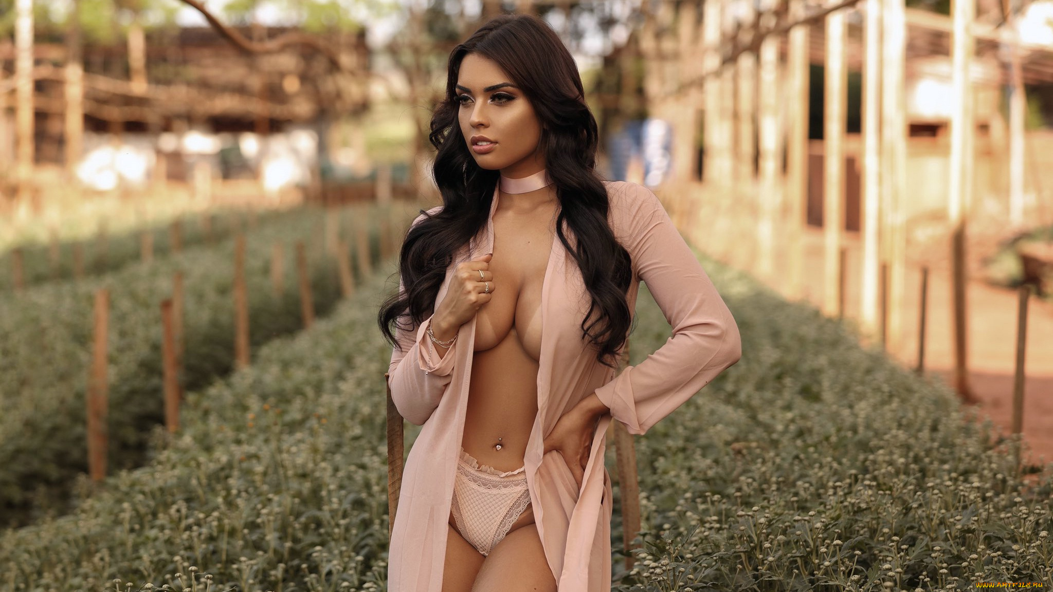 девушки, -, брюнетки, , шатенки, девушка, позирует