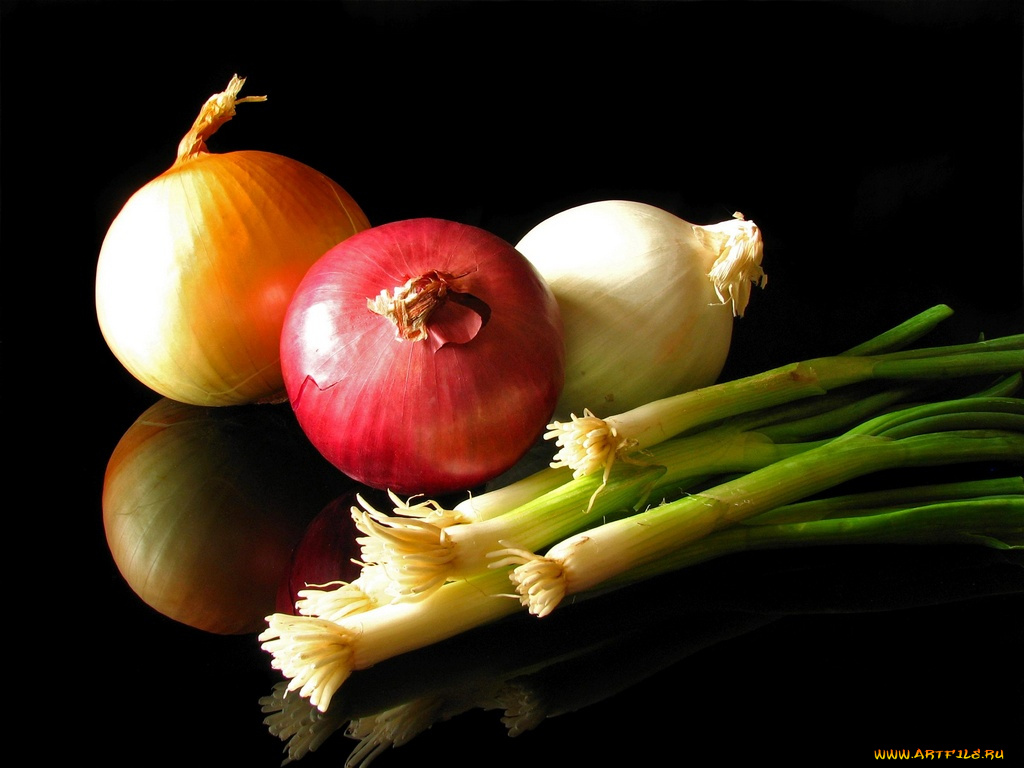 еда, лук