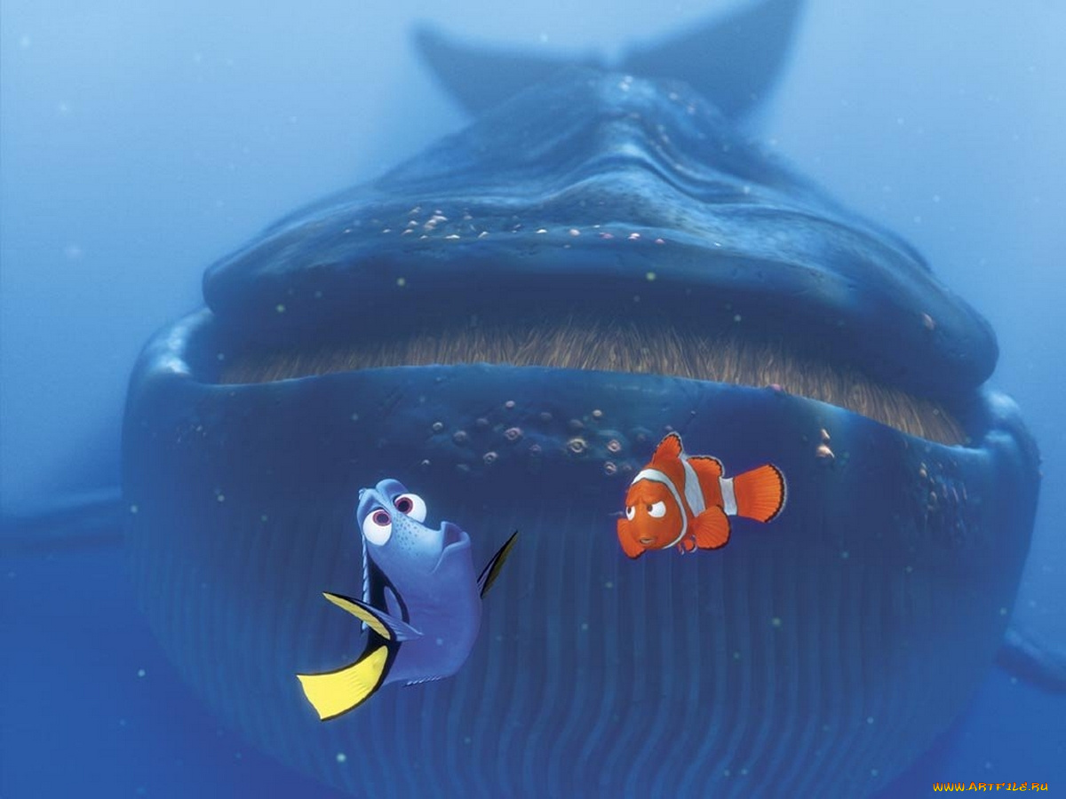 мультфильмы, finding, nemo