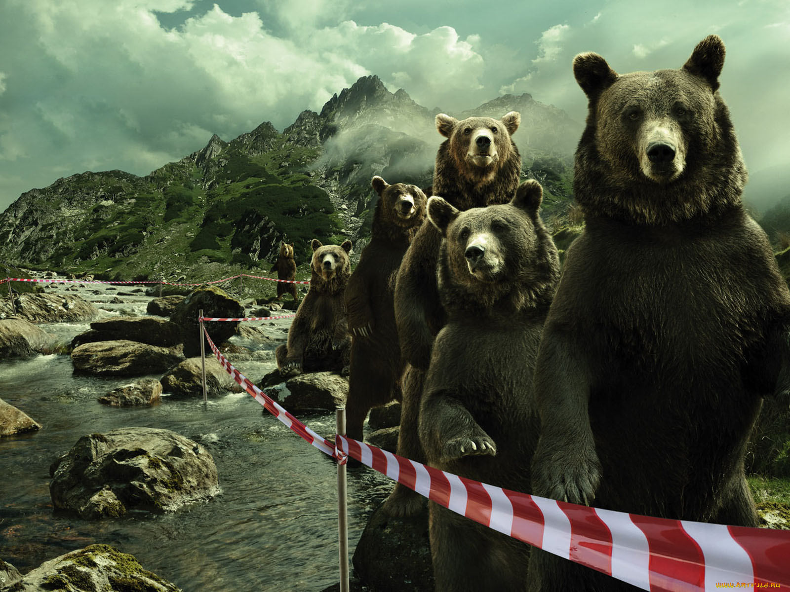 юмор, приколы