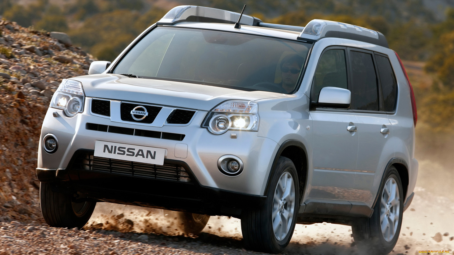 автомобили, nissan, datsun