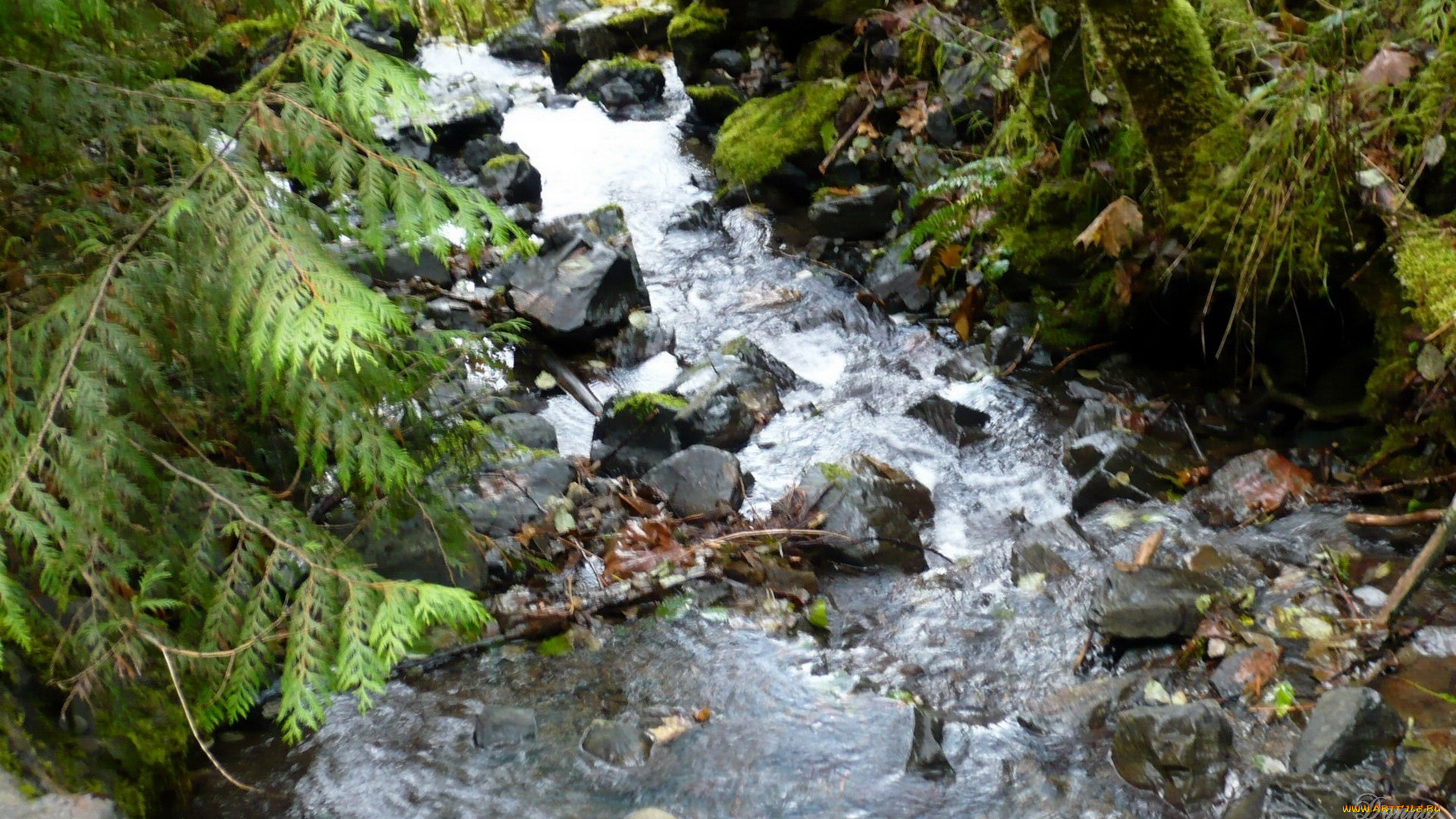 природа, реки, озера