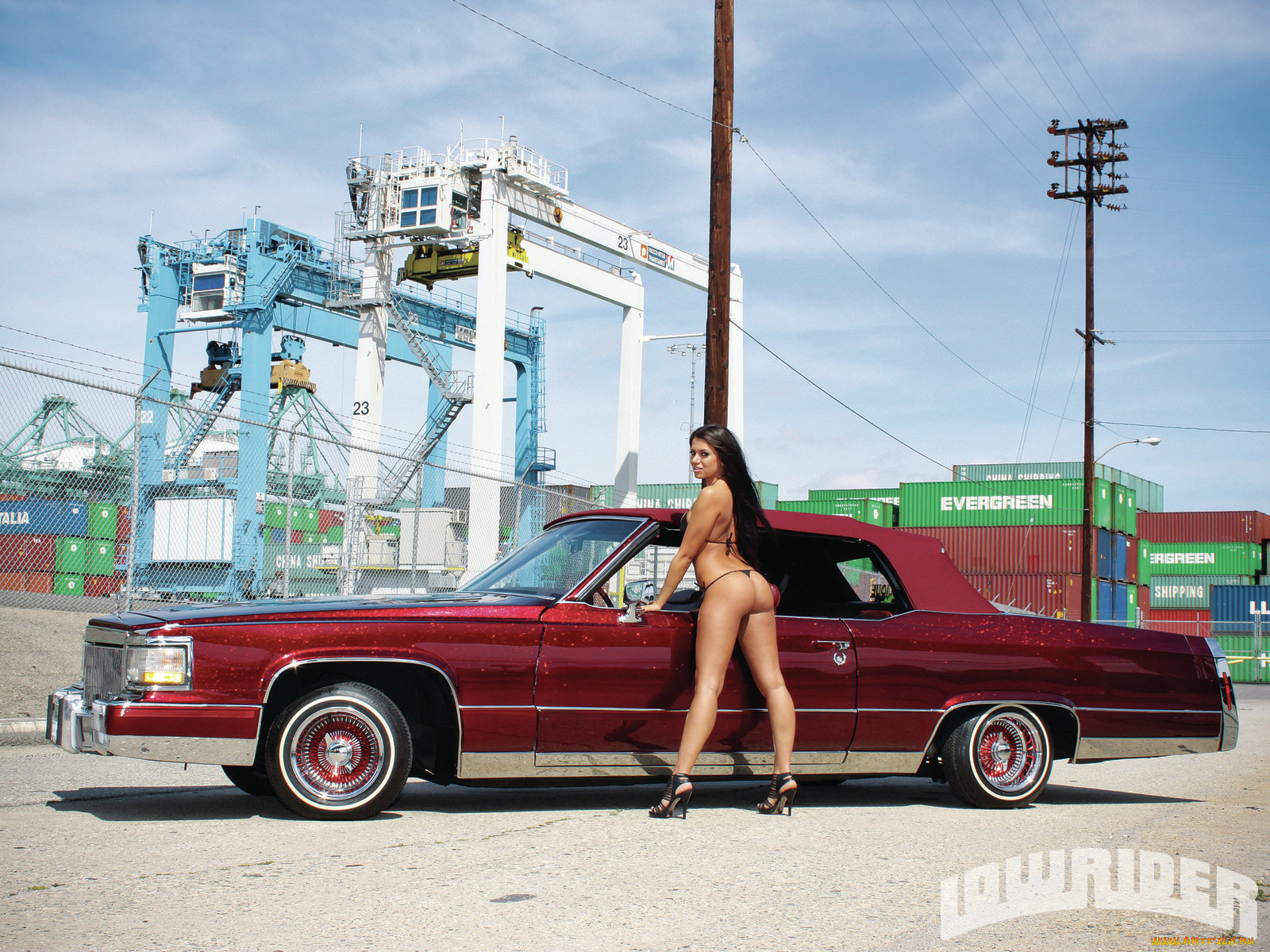 автомобили, авто, девушками, natalia, salloum, cadillac