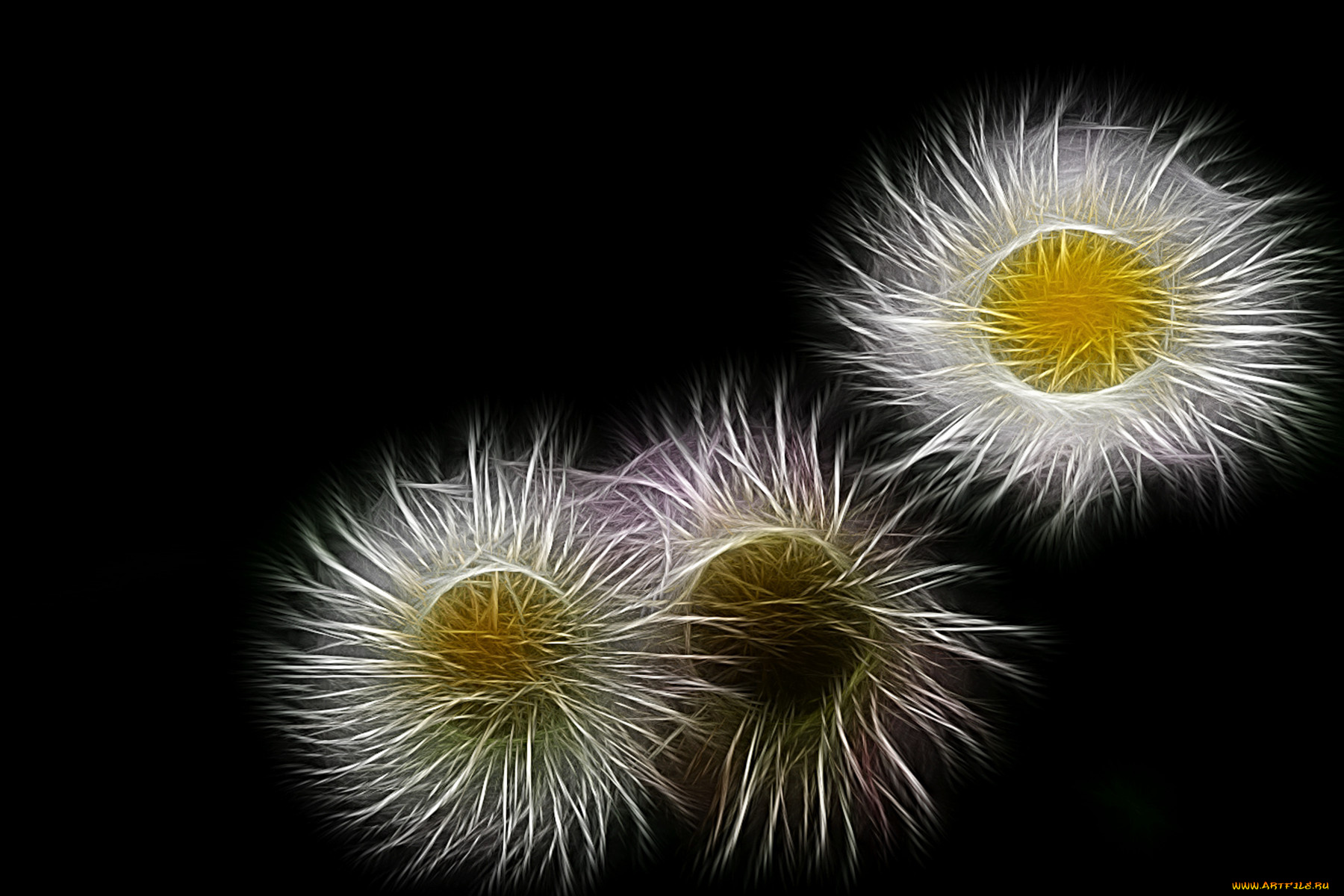 3д, графика, flowers, цветы