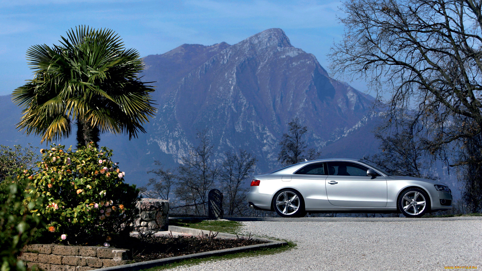 audi, s5, автомобили, ag, легковые, германия, концерн, volkswagen, group