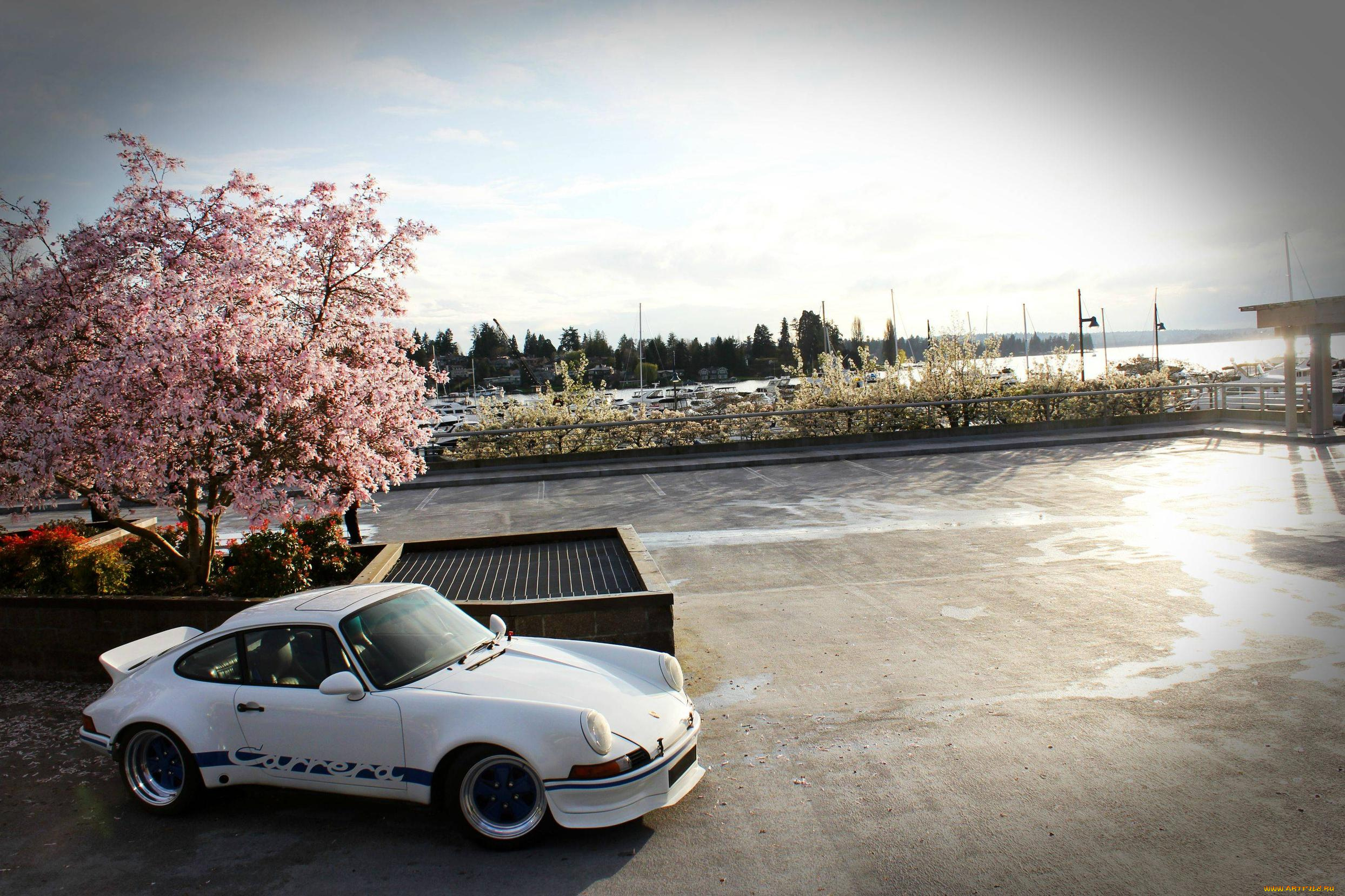 автомобили, porsche