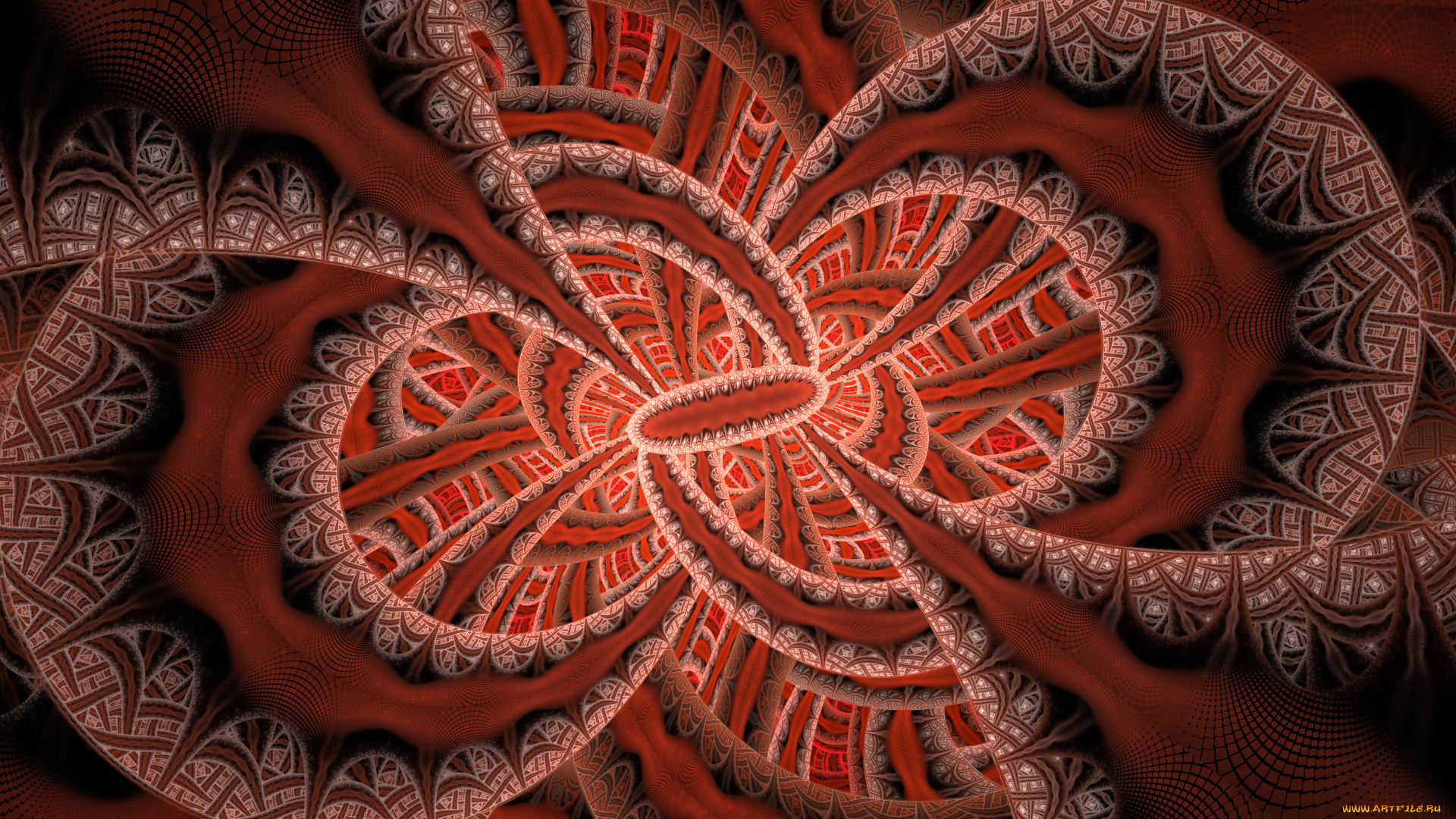 3д, графика, фракталы, , fractal, узор, фон, цвета