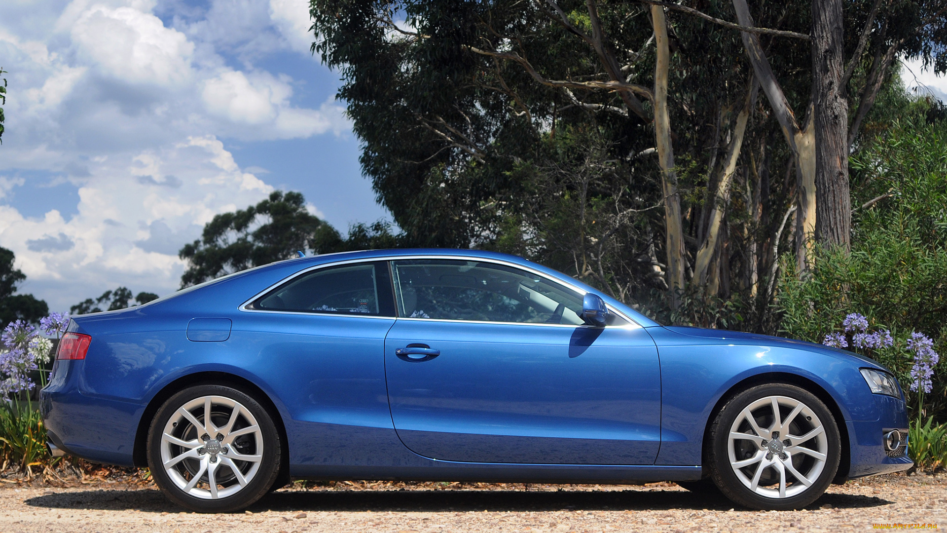 автомобили, audi, 3-2, a5, coupе, au-spec, синий