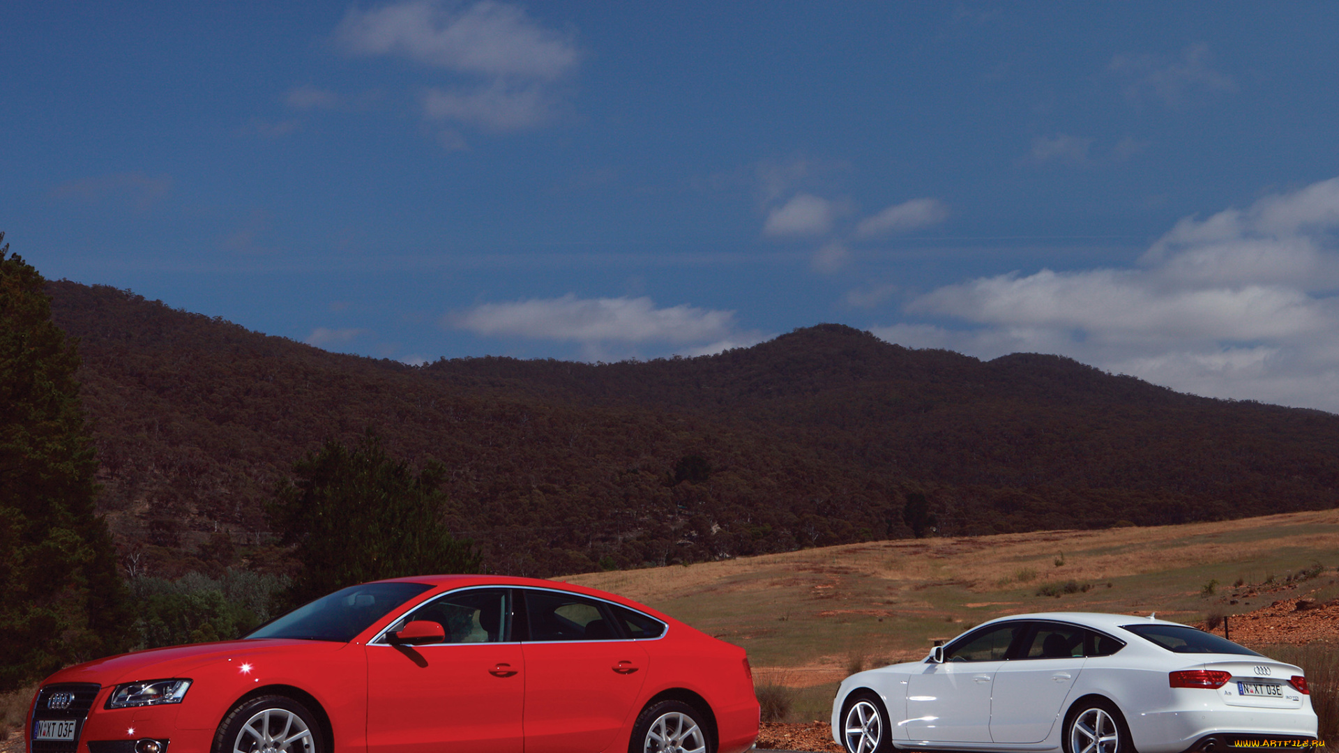 автомобили, audi, a5