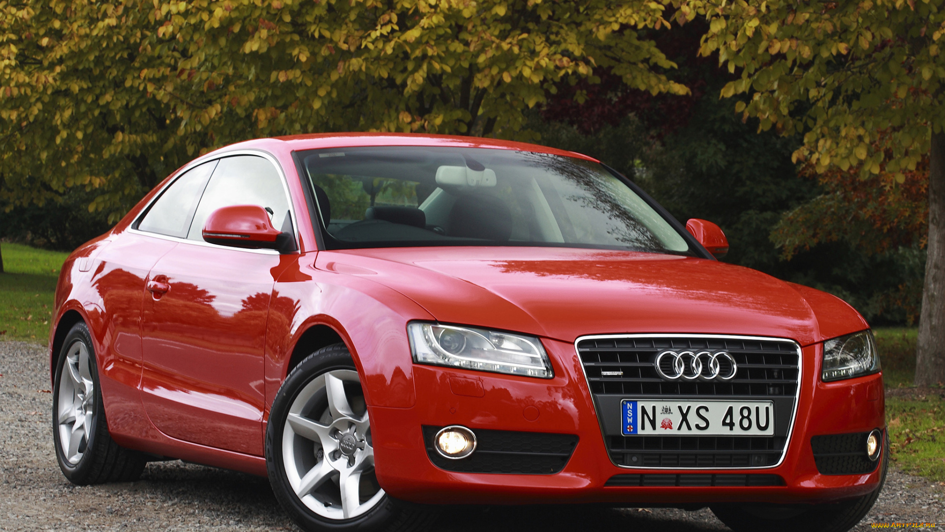 автомобили, audi, красный, au-spec, coup, quattro, 2-0t, a5