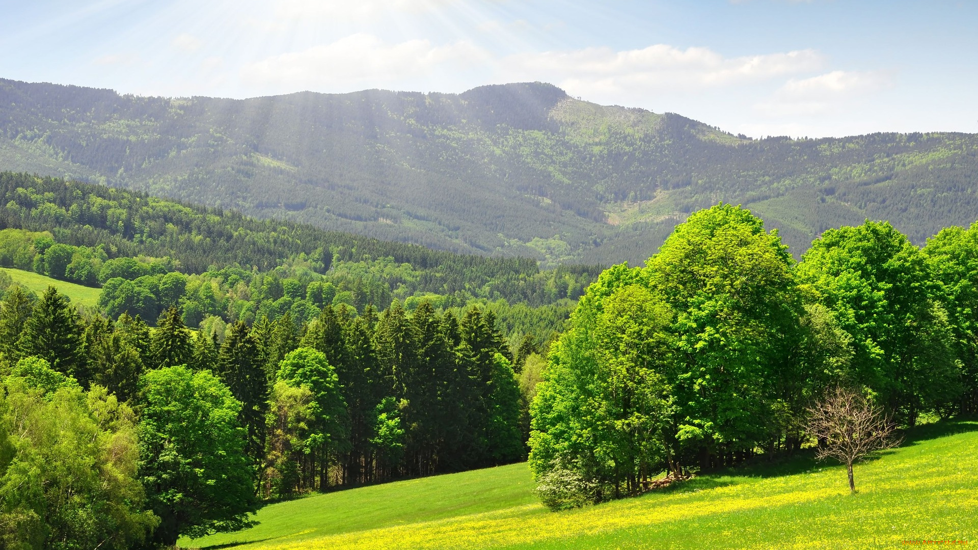 природа, горы, облака, луга, лес, деревья, солнце, лучи, долина