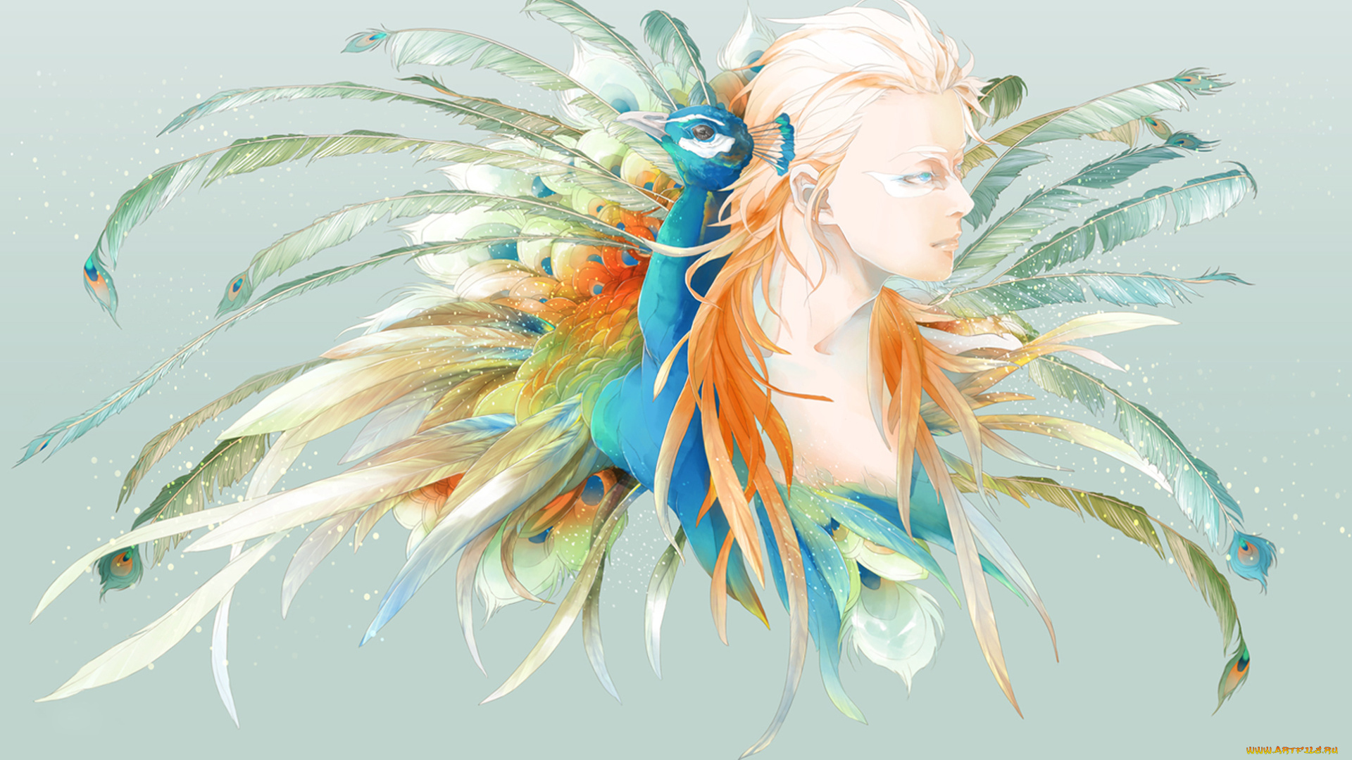 векторная, графика, люди, павлин, парень, перья