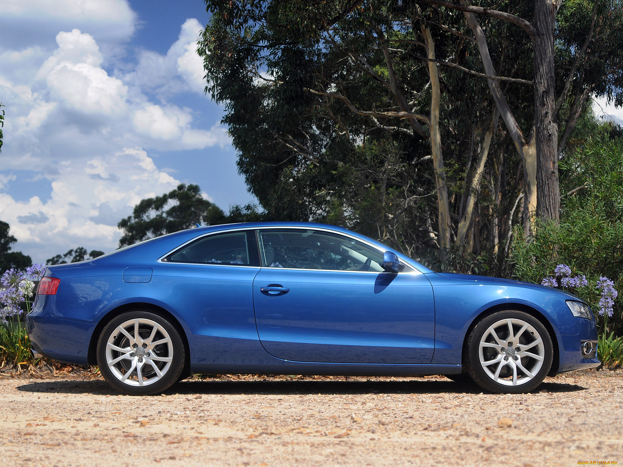 автомобили, audi, 3-2, a5, coupе, au-spec, синий