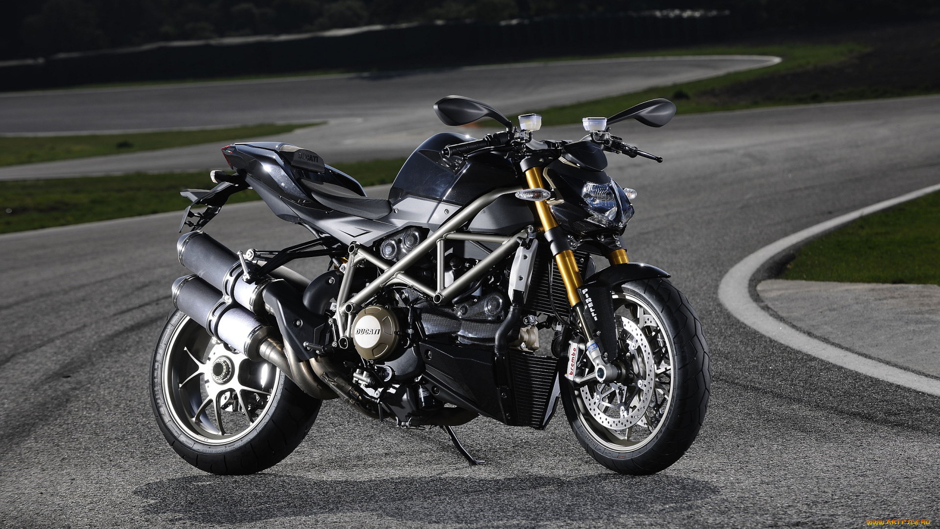 мотоциклы, ducati