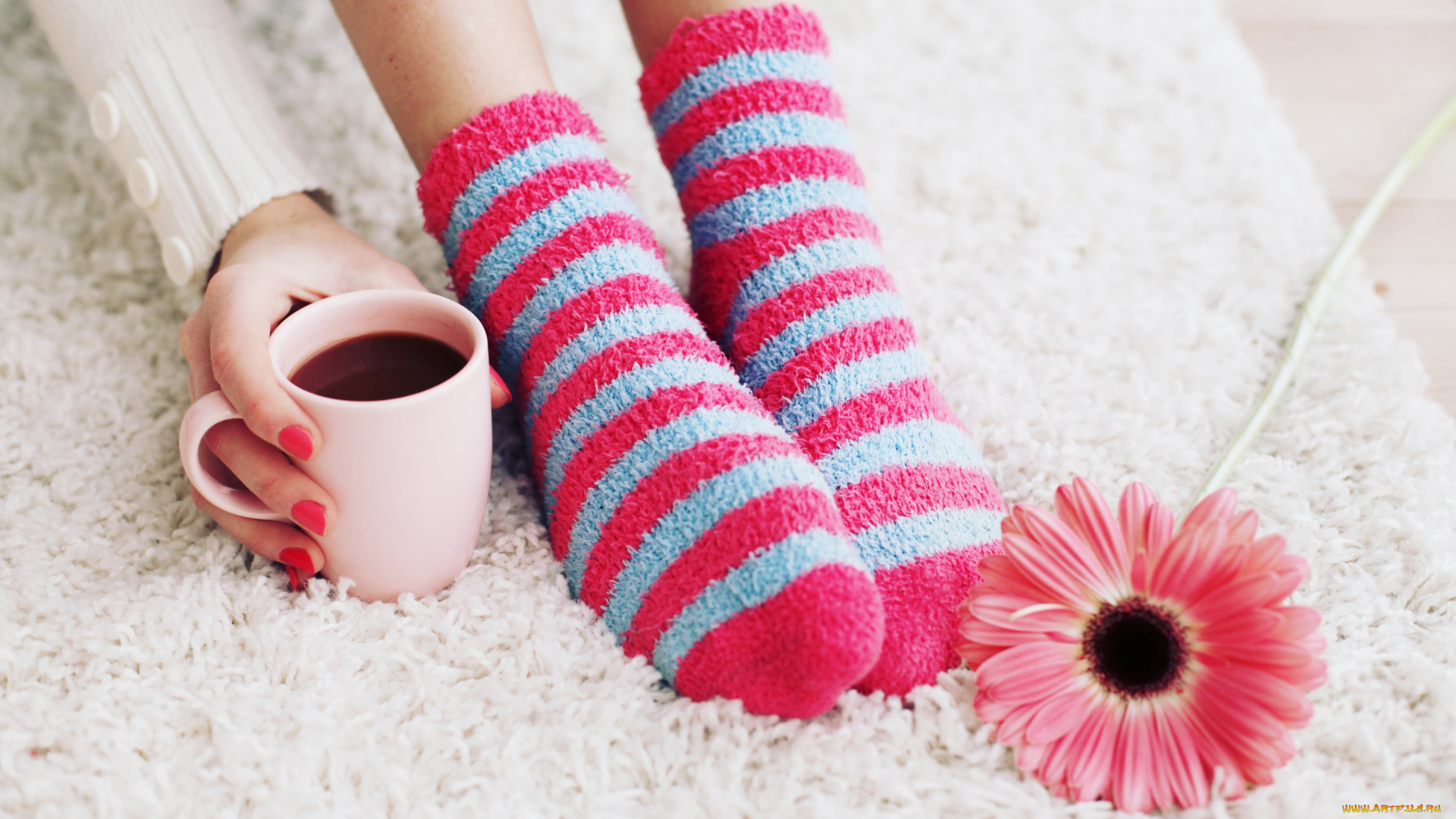 разное, руки, cup, socks, цветок, ноги, носки, чашка, coffee, кофе