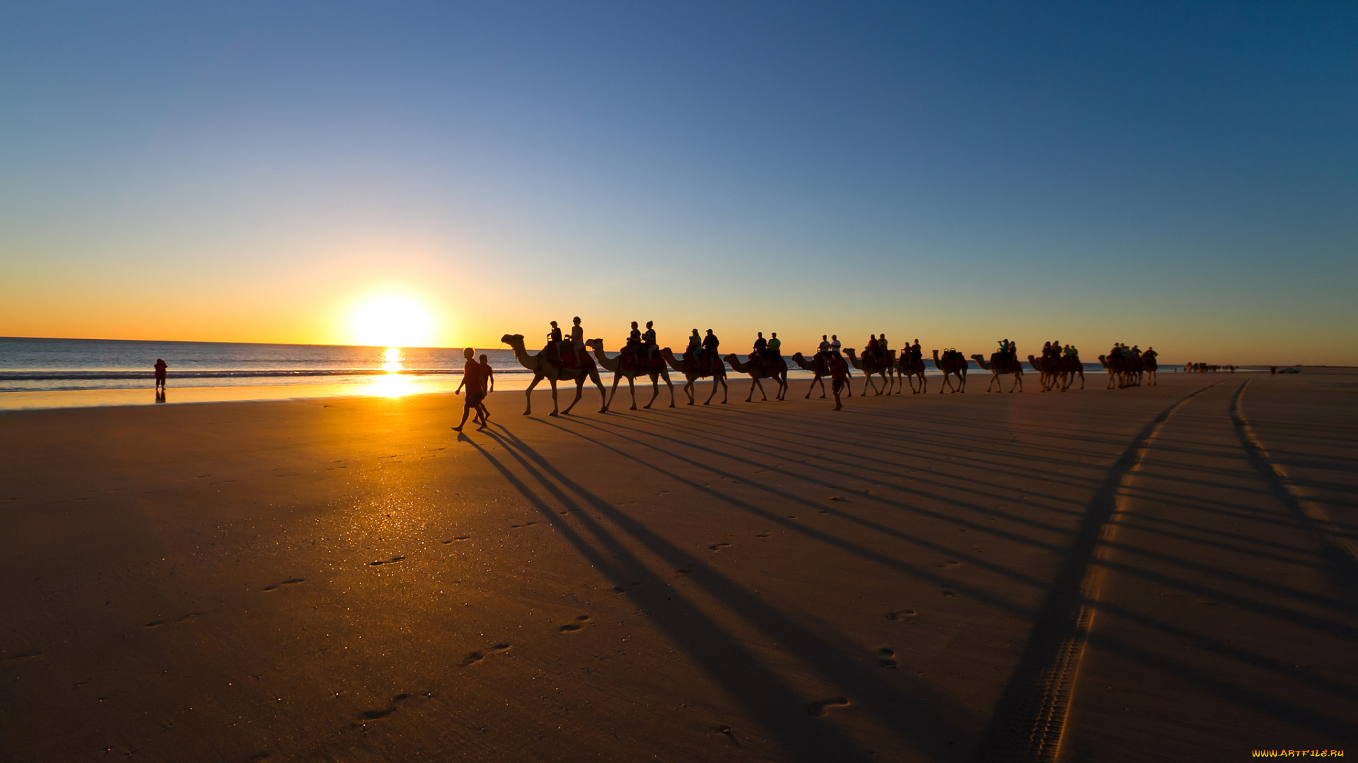 животные, верблюды, море, пляж, пейзаж