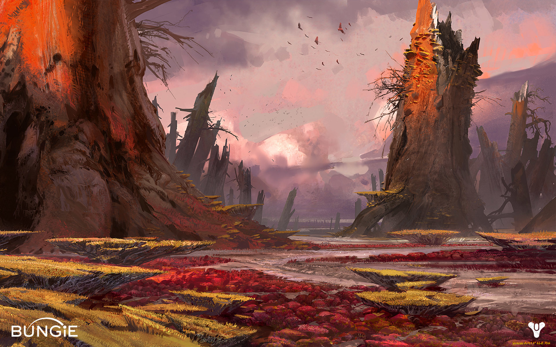 видео, игры, destiny, лес, река, птицы