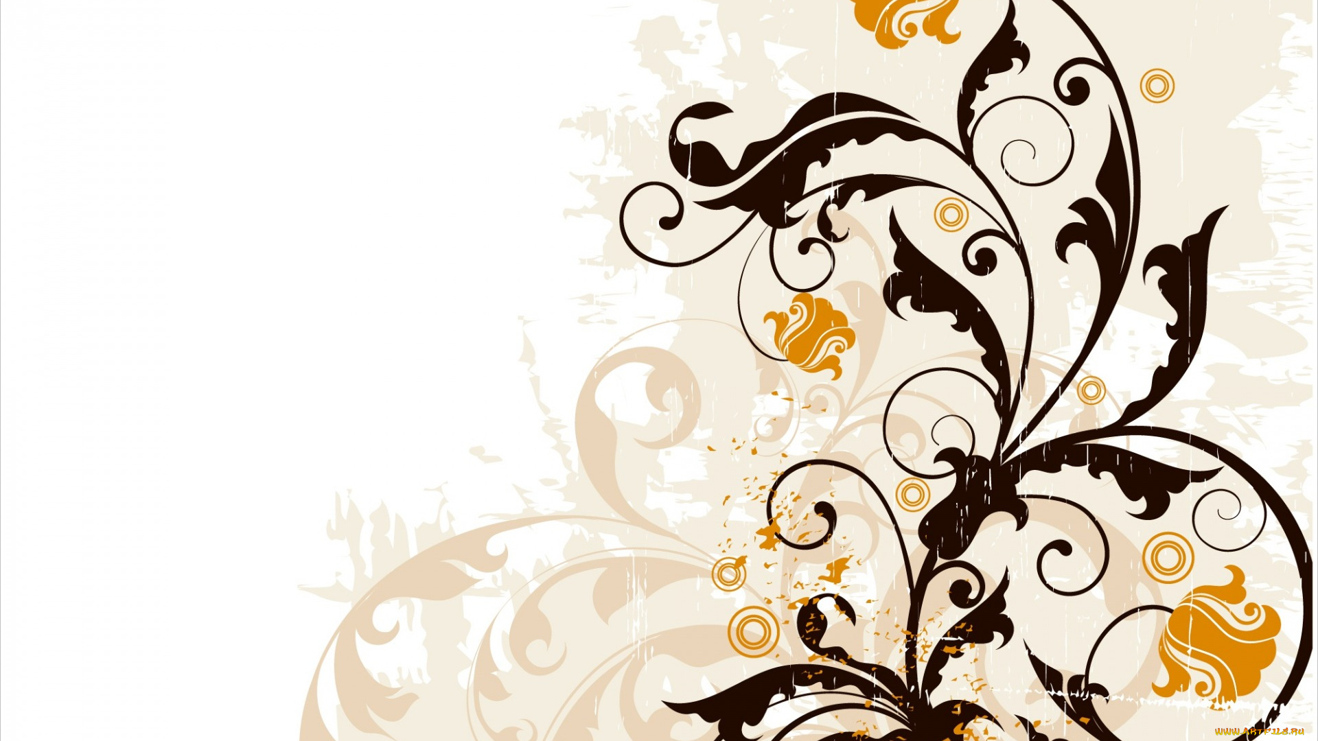 векторная, графика, цветы, , flowers, background, abstract, design