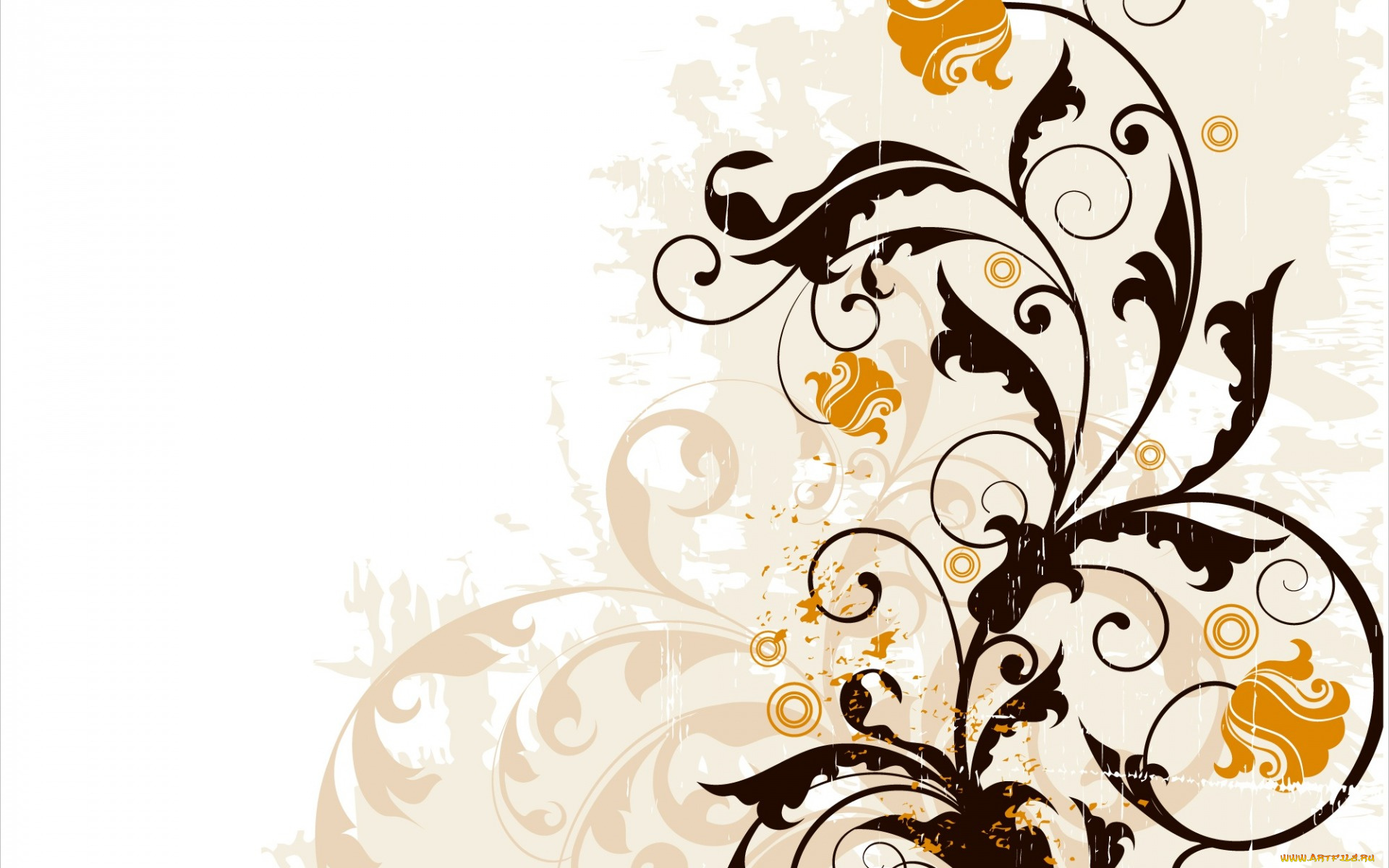 векторная, графика, цветы, , flowers, background, abstract, design