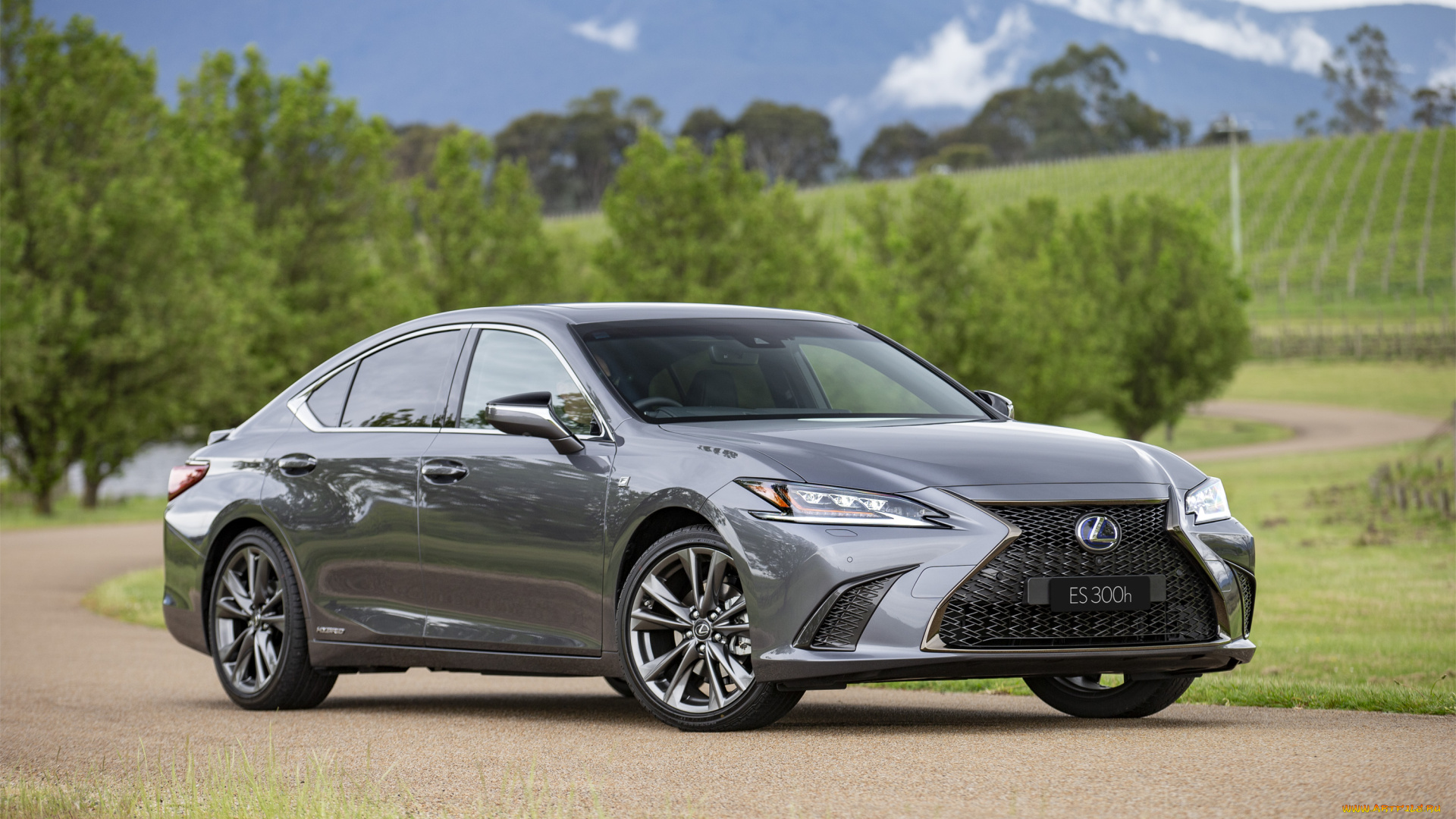 автомобили, lexus