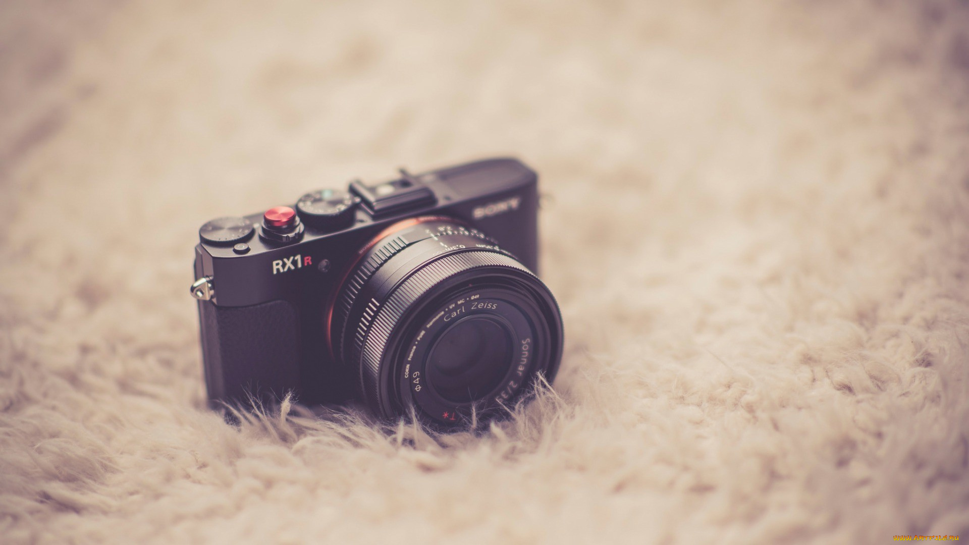 бренды, бренды, фотоаппаратов, , разное, фотоаппарат, камера, ковер