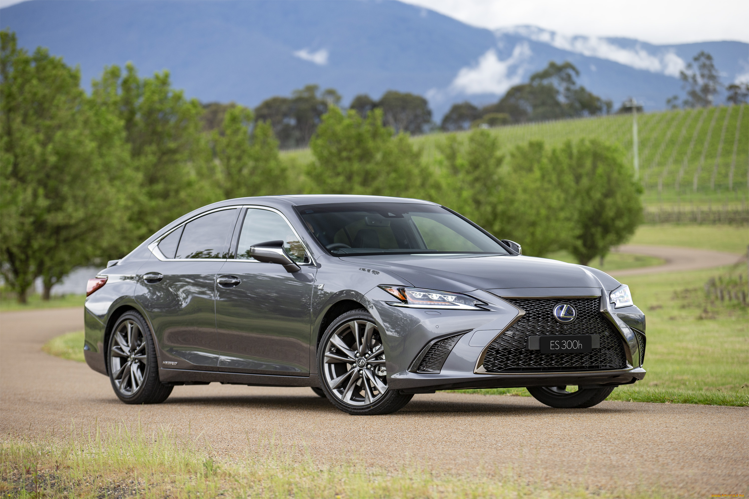 автомобили, lexus