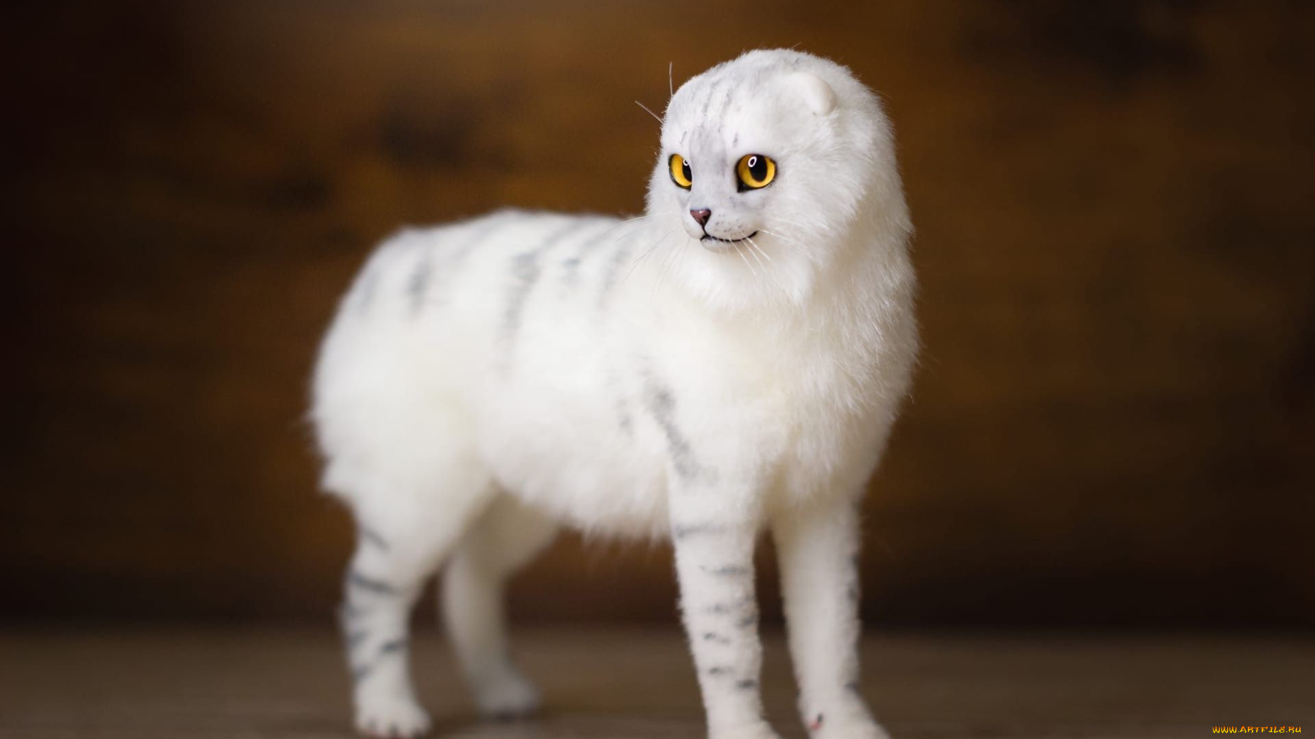 разное, игрушки, кот, белый