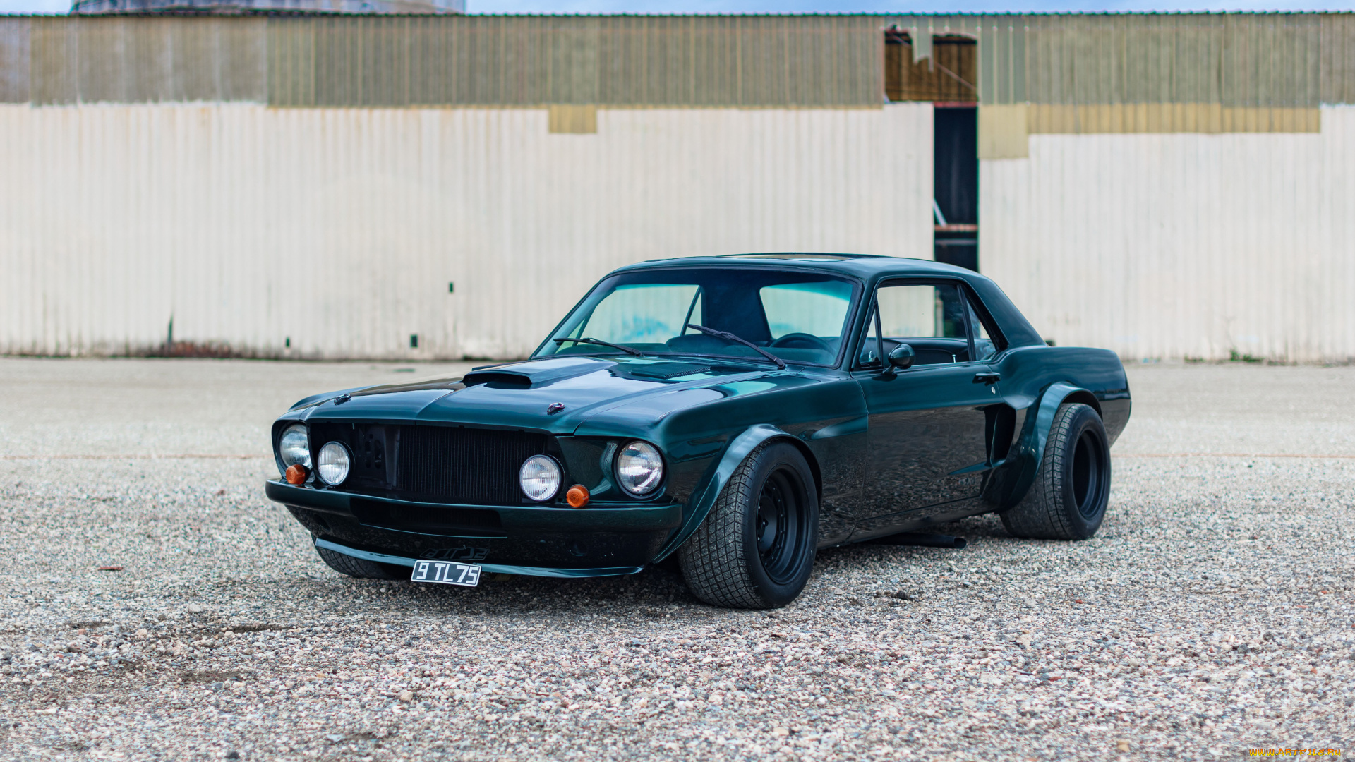 автомобили, mustang