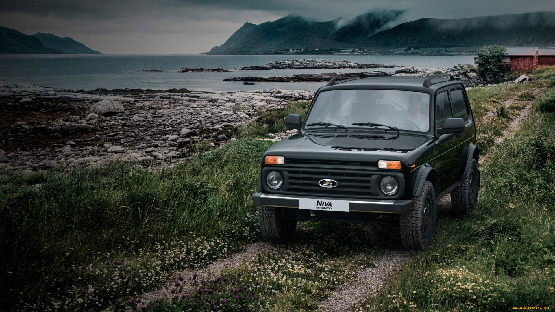 автомобили, ваз, niva