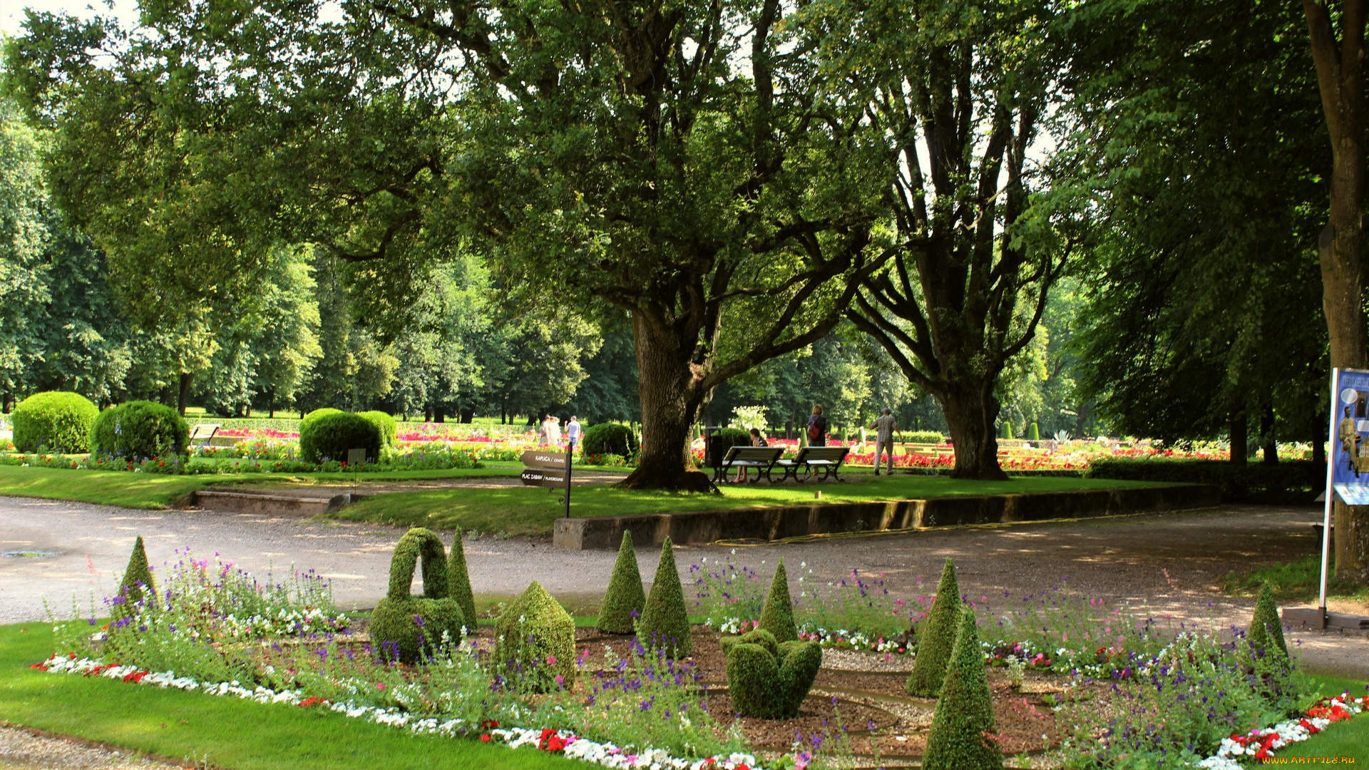 lublin, province, poland, природа, парк, lublin, province