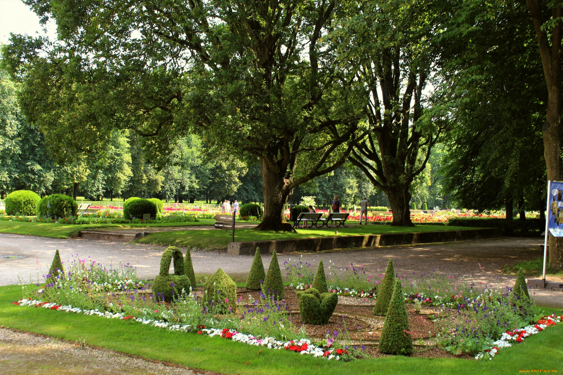 lublin, province, poland, природа, парк, lublin, province