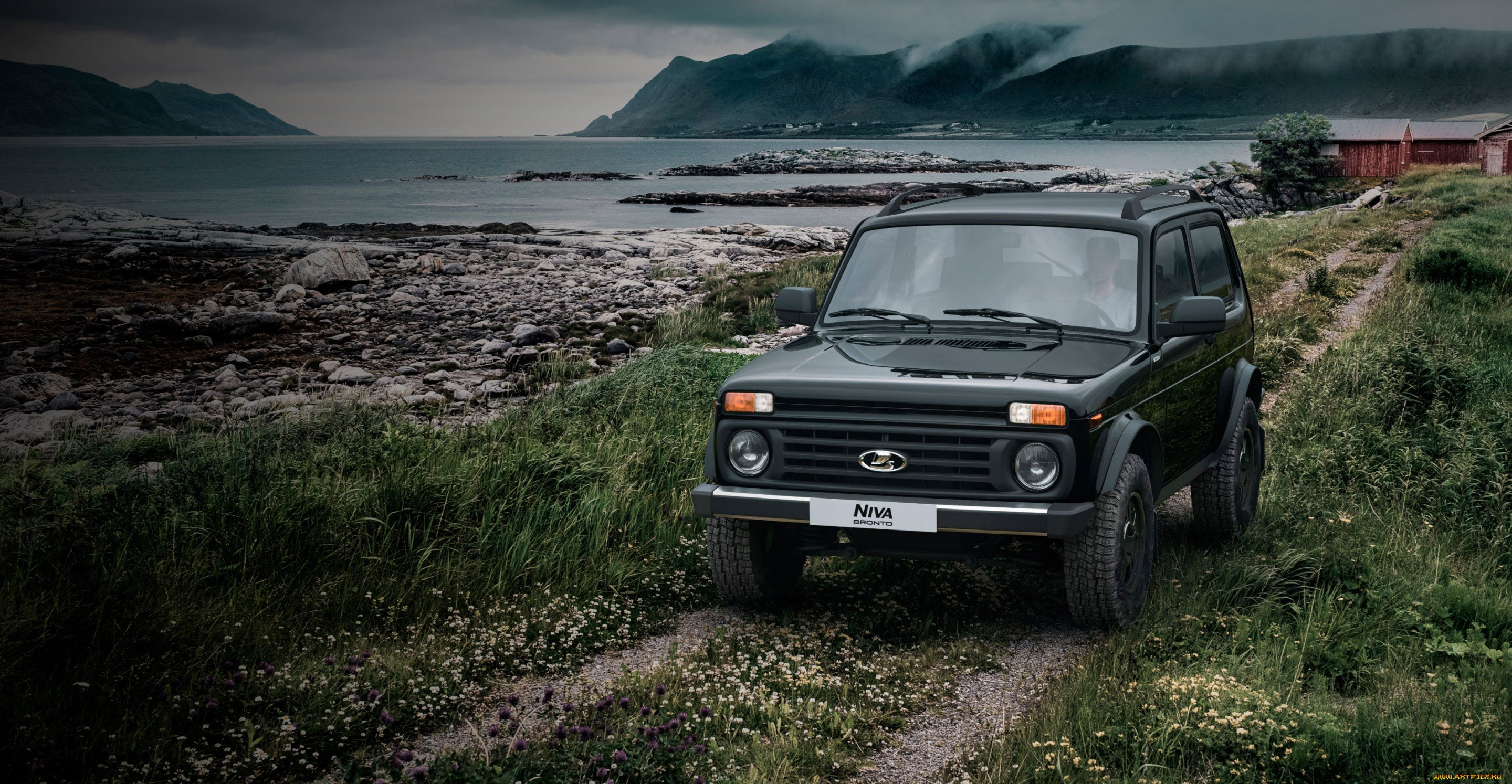 автомобили, ваз, niva