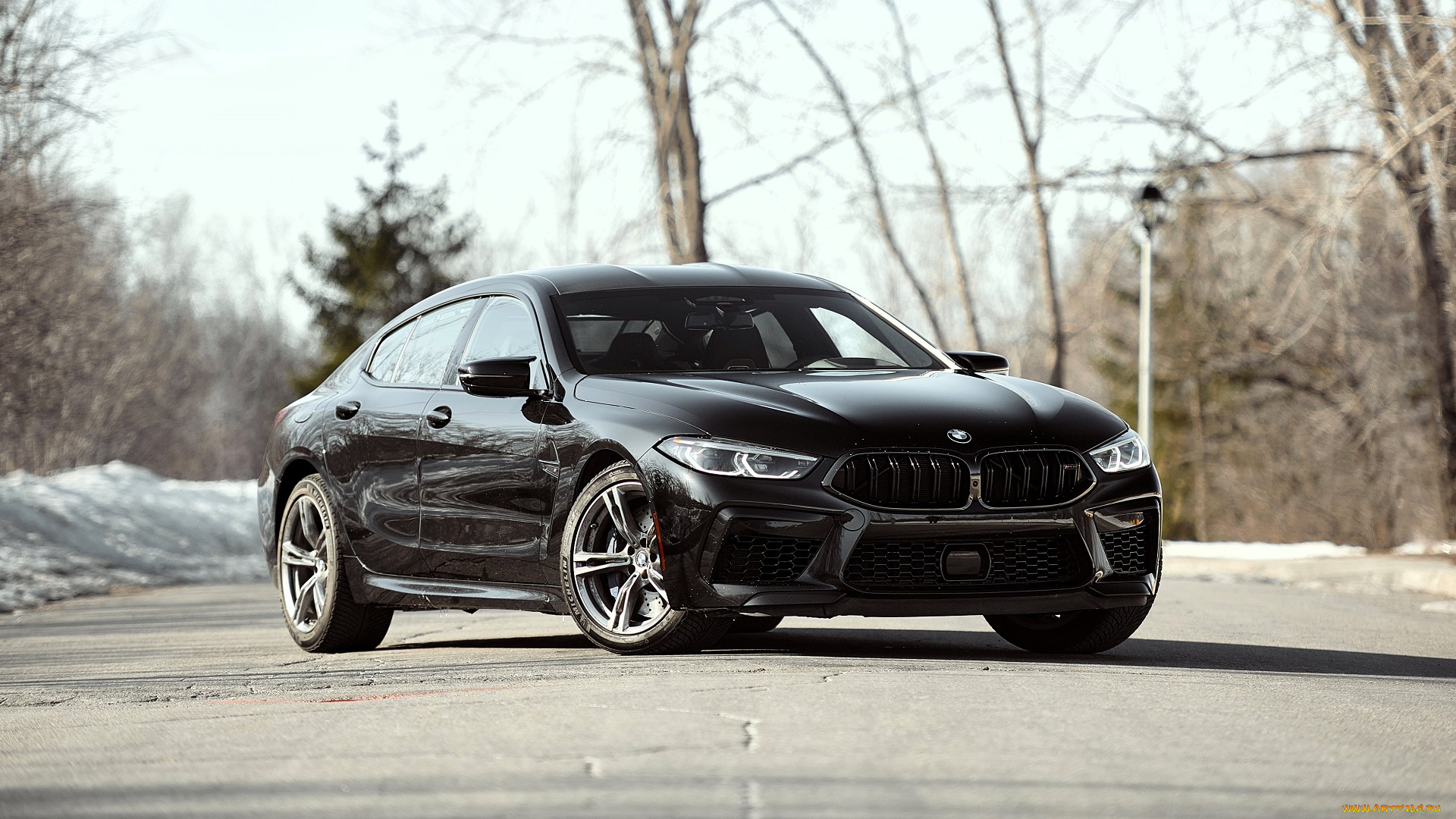 bmw, m8, автомобили, bmw, черный, площадка, деревья