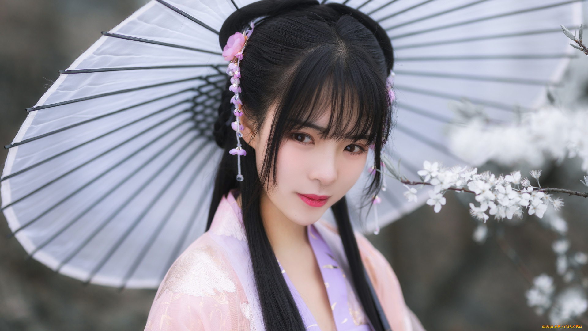 девушки, -, азиатки, девушка