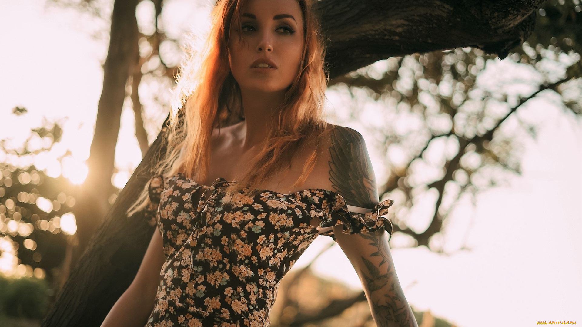 девушки, valery, himera, , lera, himera, шатенка, платье, тату, дерево