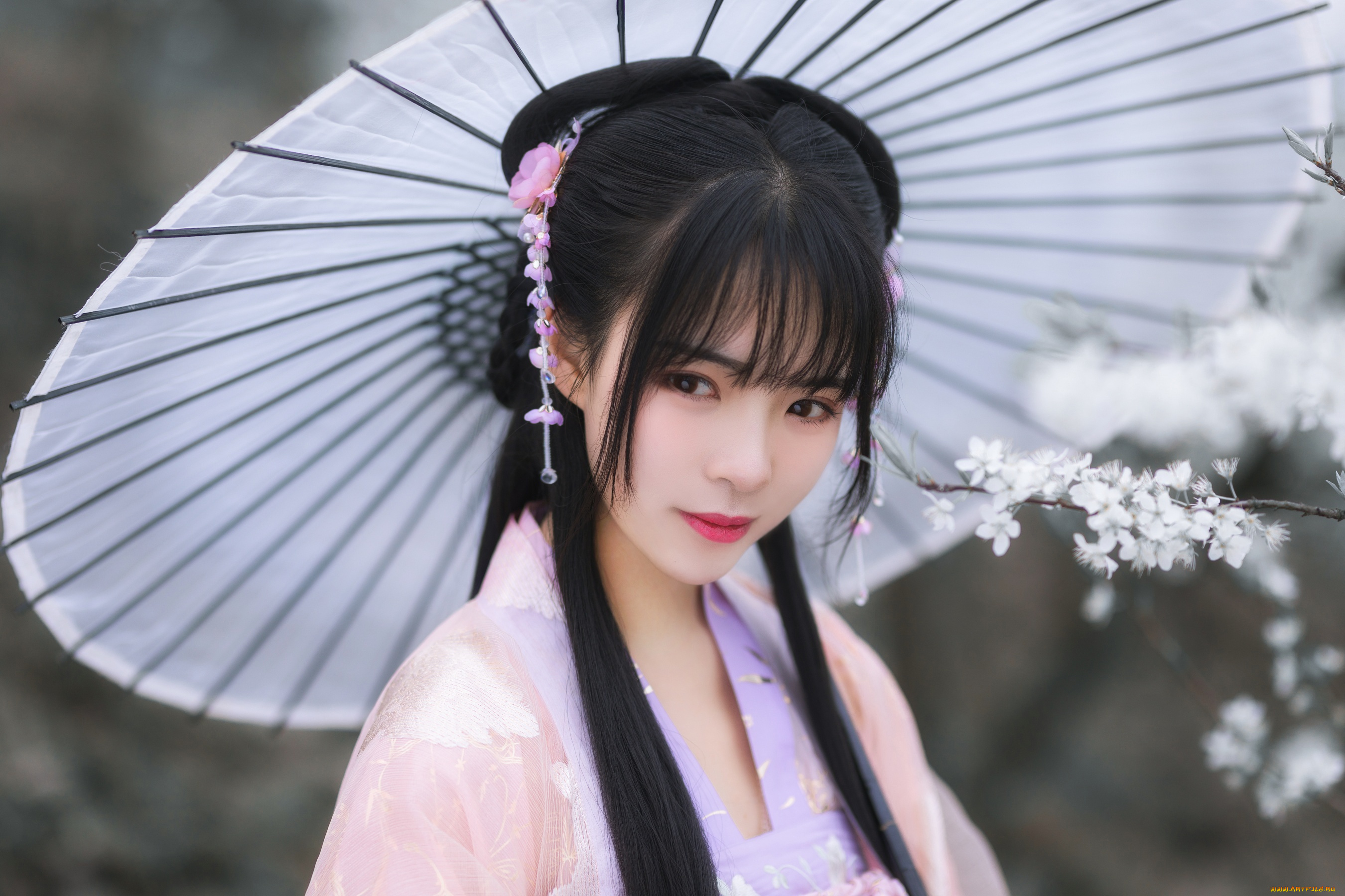 девушки, -, азиатки, девушка