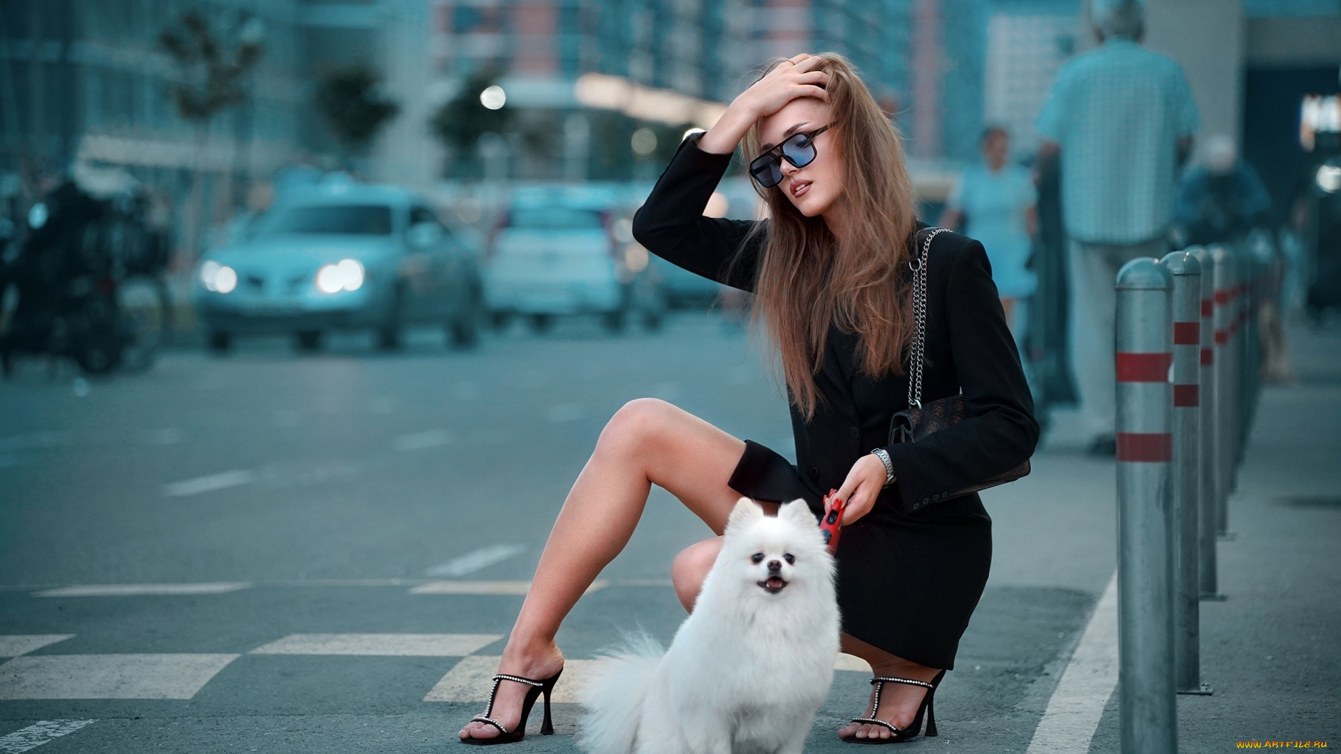 дама, с, собачкой, девушки, -, брюнетки, , шатенки, девушка, женщина, шатенка, темноволосая, сексуальная, модель, звезда, позирует, разная, обувь, верхняя, стильная, одежда, нижнее, эротическое, бельё, трусы, лифчик, колготки, чулки, аксессуары, макияж, и, множество, элементов, на, фотографии