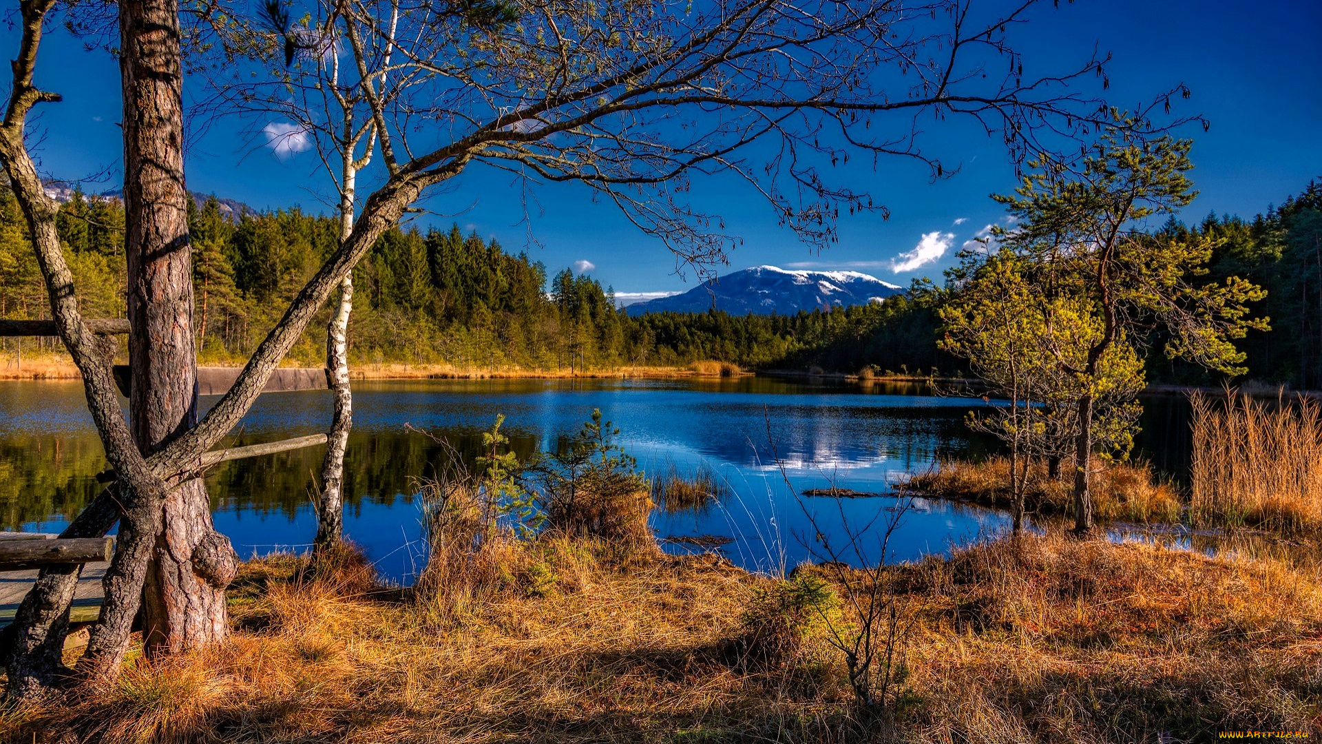 природа, реки, озера, лес, гора, деревья, озеро, трава